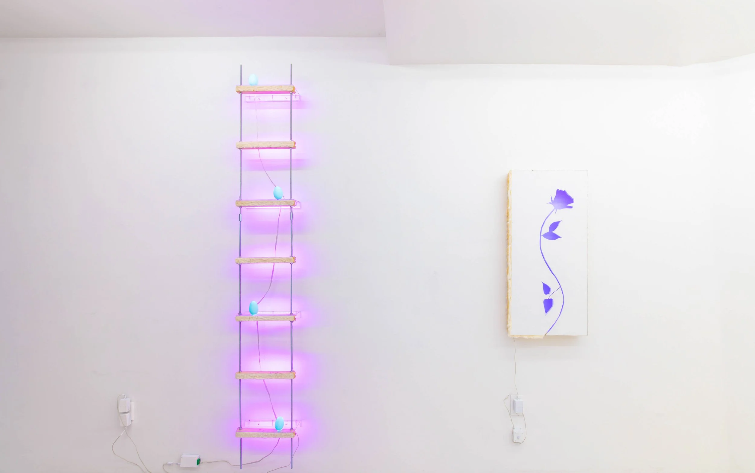 	
Art installation with illuminated sculptures including this colorful flower piece by artist Lizzie Wright in 2017 at Rawson Projects in NYC.