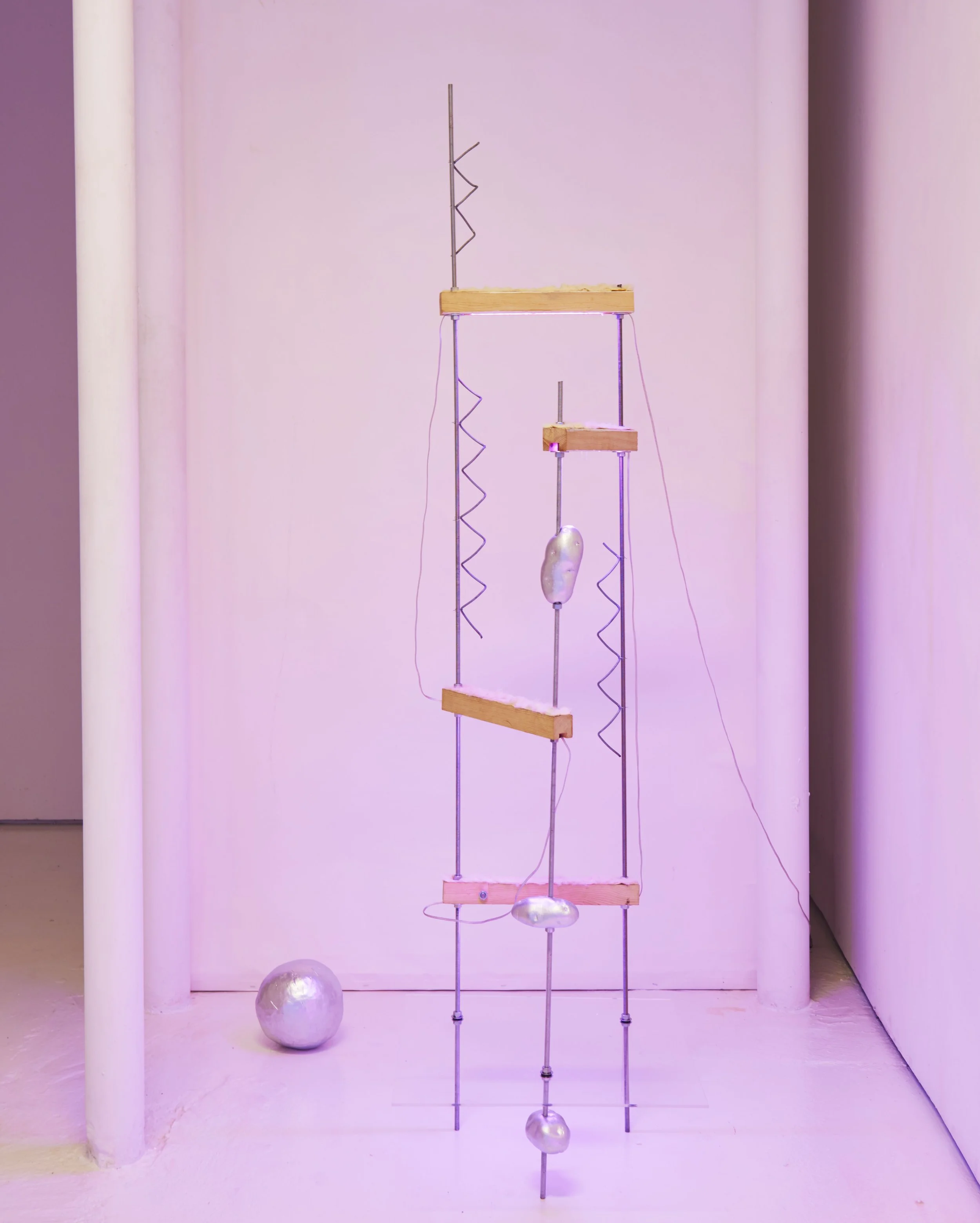 Art installation with illuminated sculptures includingby artist Lizzie Wright in 2012 at Essex Flowers in NYC.