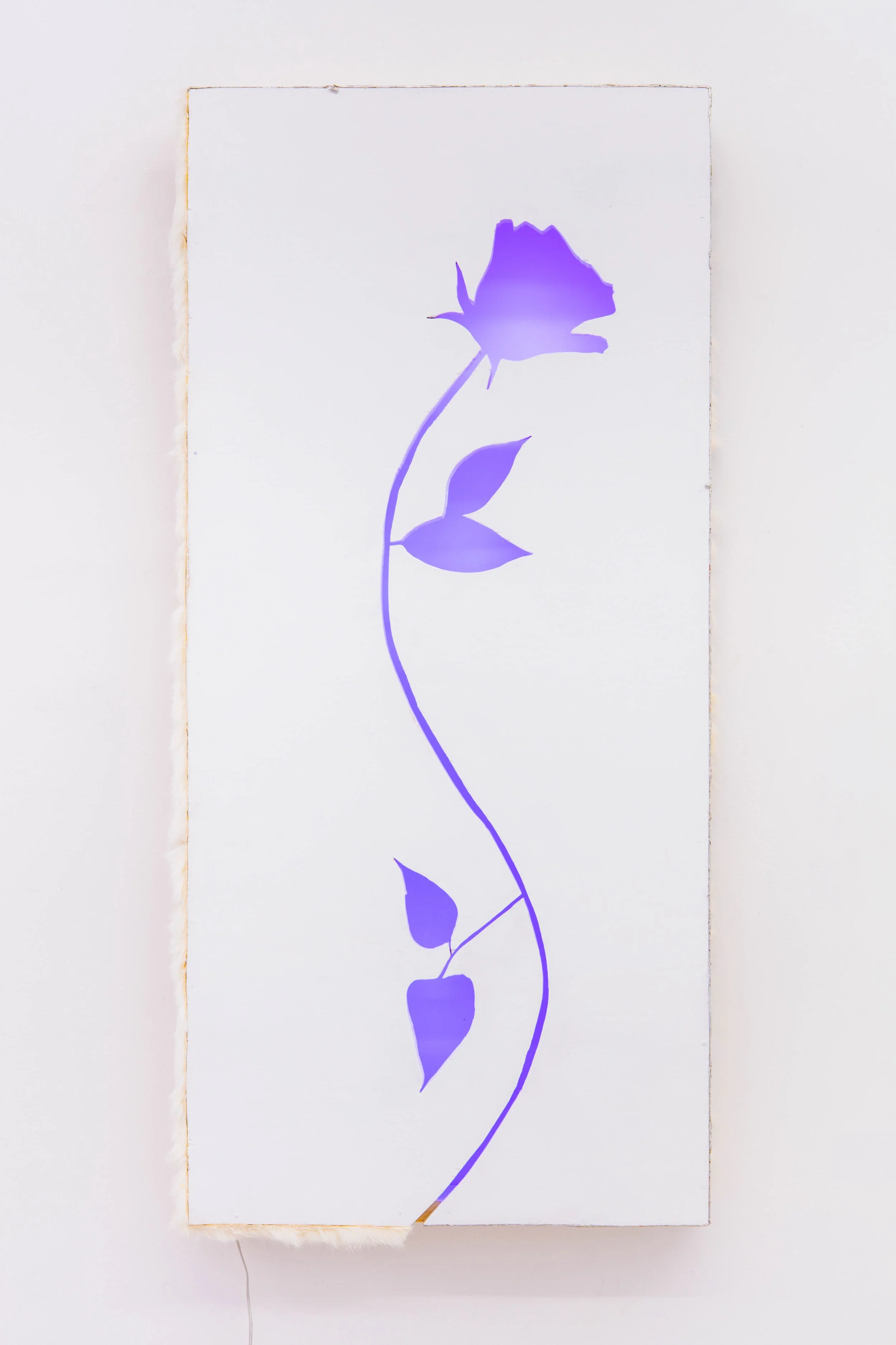 	Art installation with illuminated sculptures including this colorful flower piece by artist Lizzie Wright in 2017 at Rawson Projects in NYC.