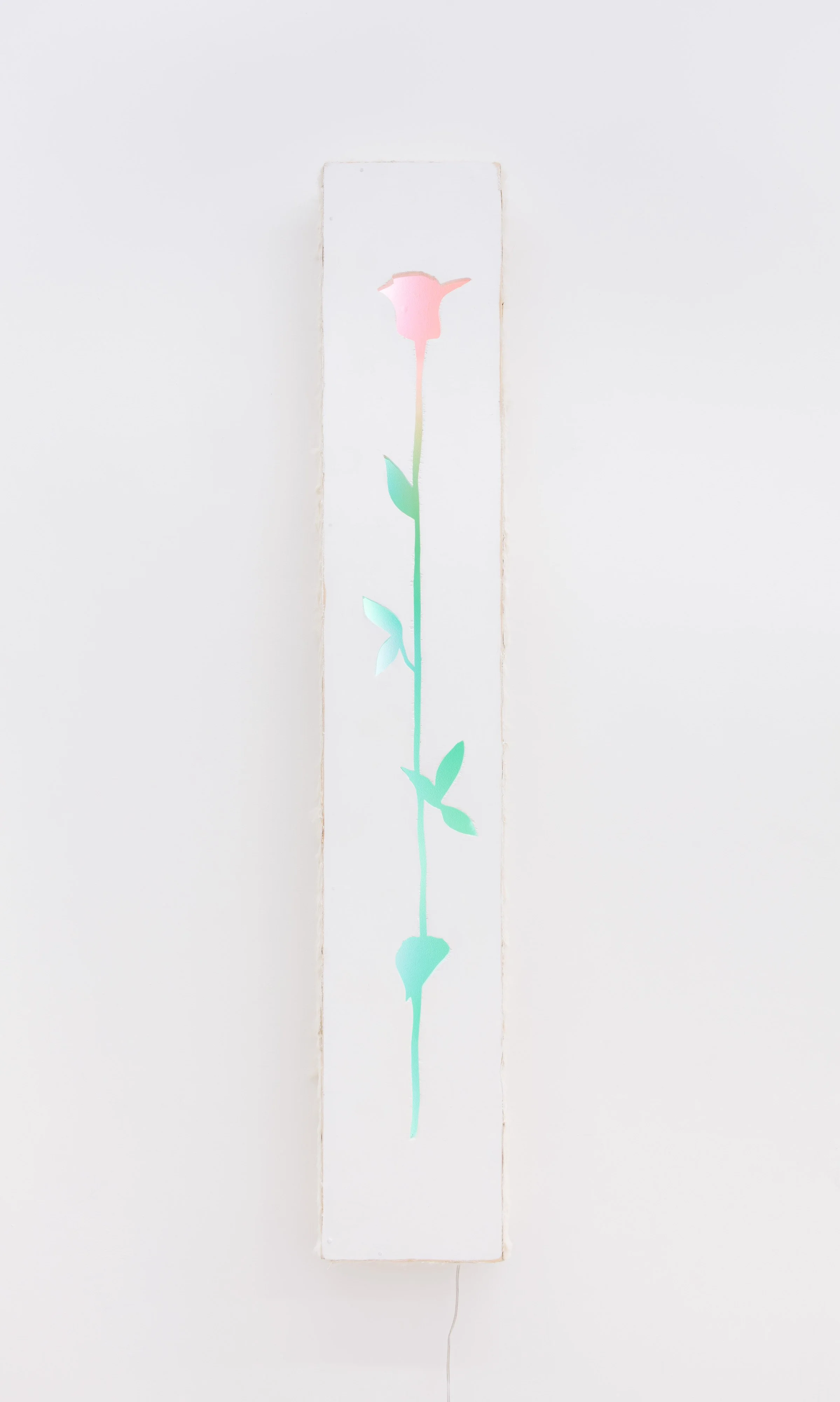 Art installation with illuminated sculptures including this colorful flower piece by artist Lizzie Wright in 2017 at Rawson Projects in NYC.


