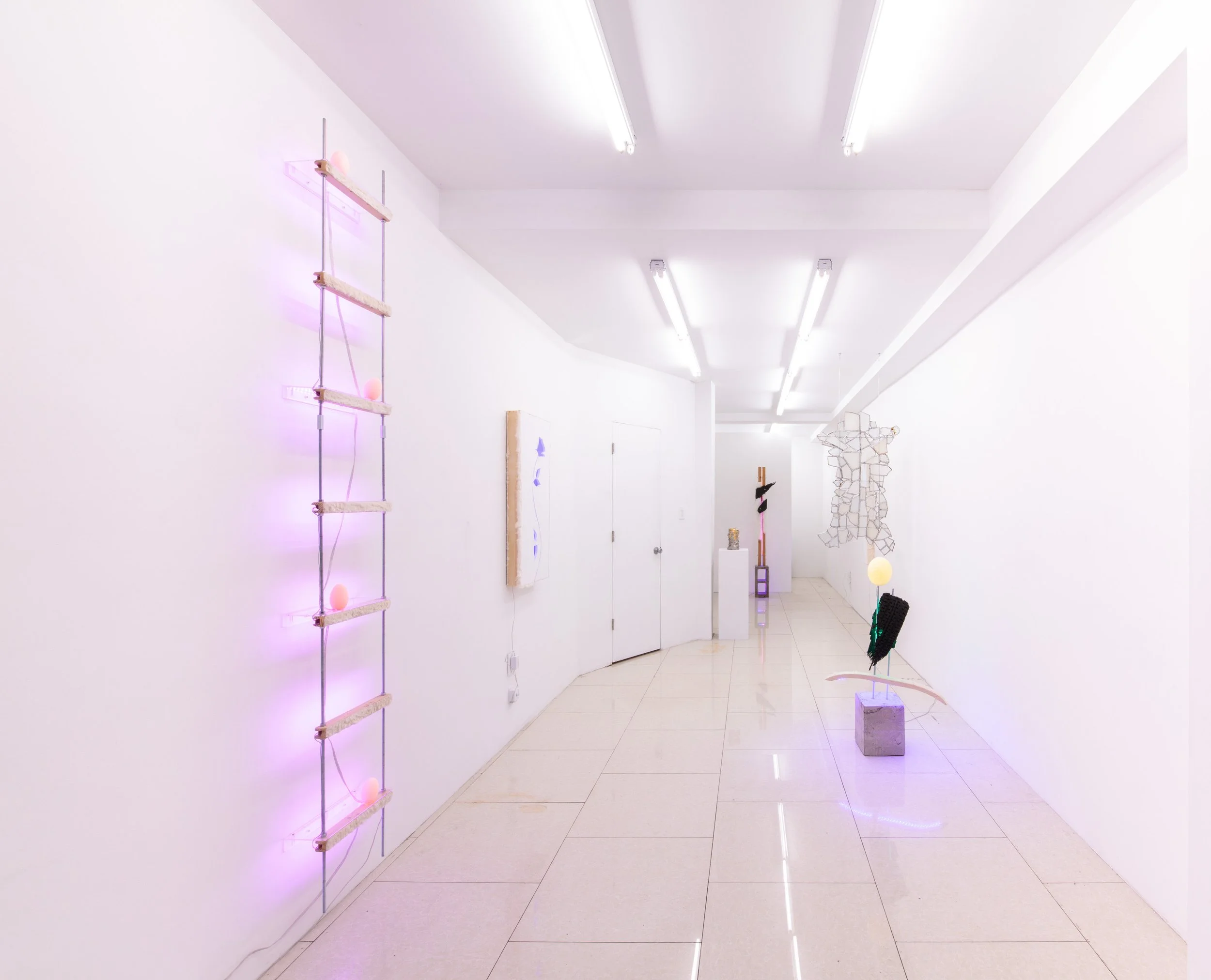 	
Art installation with illuminated sculptures by artist Lizzie Wright in 2017 at Rawson Projects in NYC.
