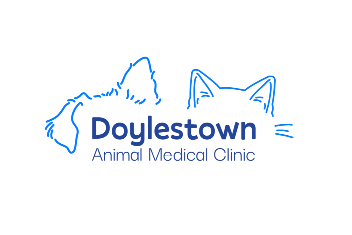 Doylestown Animal Medical Clinic
