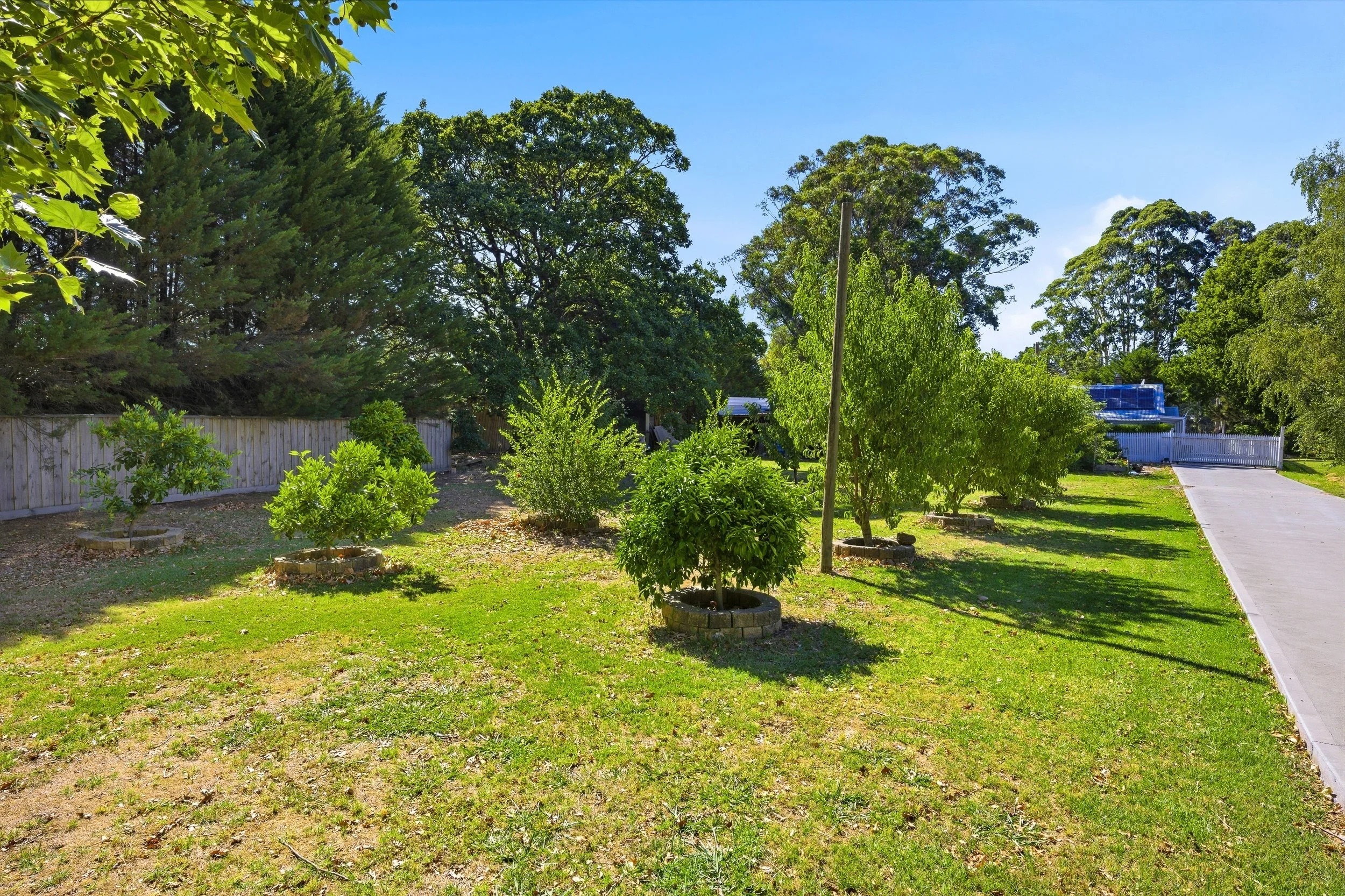 PRINT - 205 Beaconsfield-Emerald Road, Beaconsfield, VIC 3807 NEW PHOTOS - Photo 14.jpg