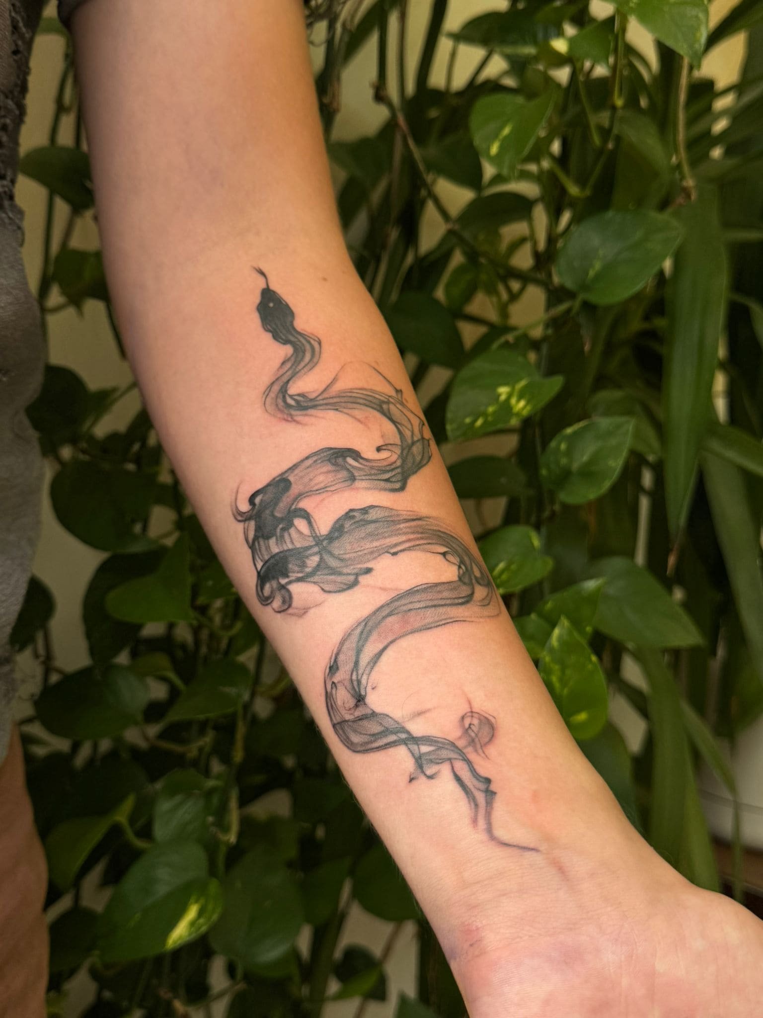 image_tattoo-01 Image 2026-01-28 at 10.49.14.jpeg