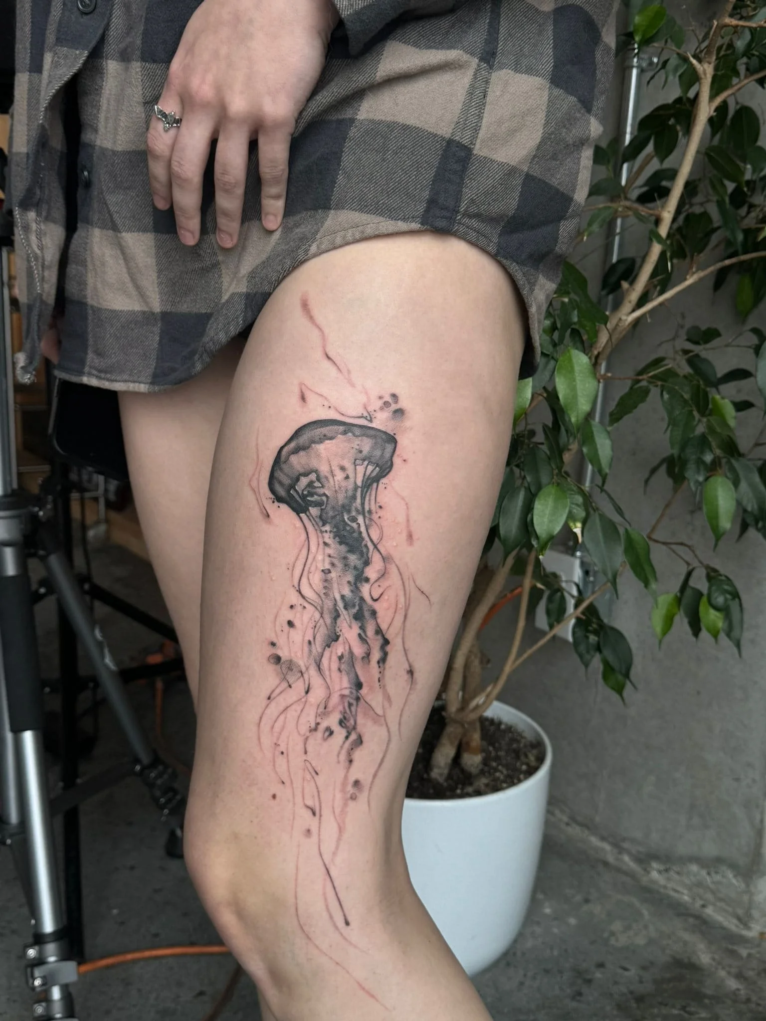 image_tattoo-20 Image 2026-01-28 at 10.44.04 (1).jpeg