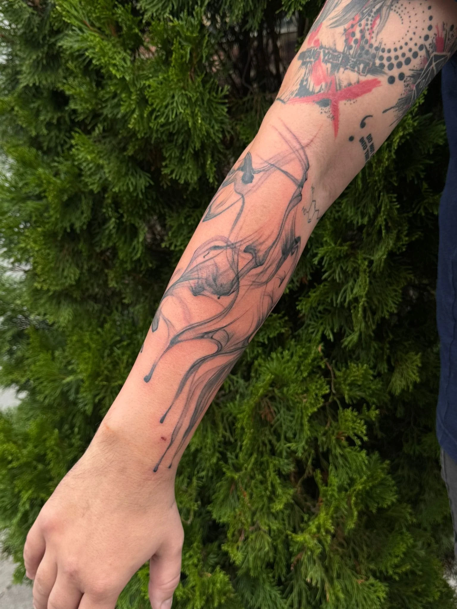 image_tattoo-01 Image 2026-01-28 at 10.49.15.jpeg