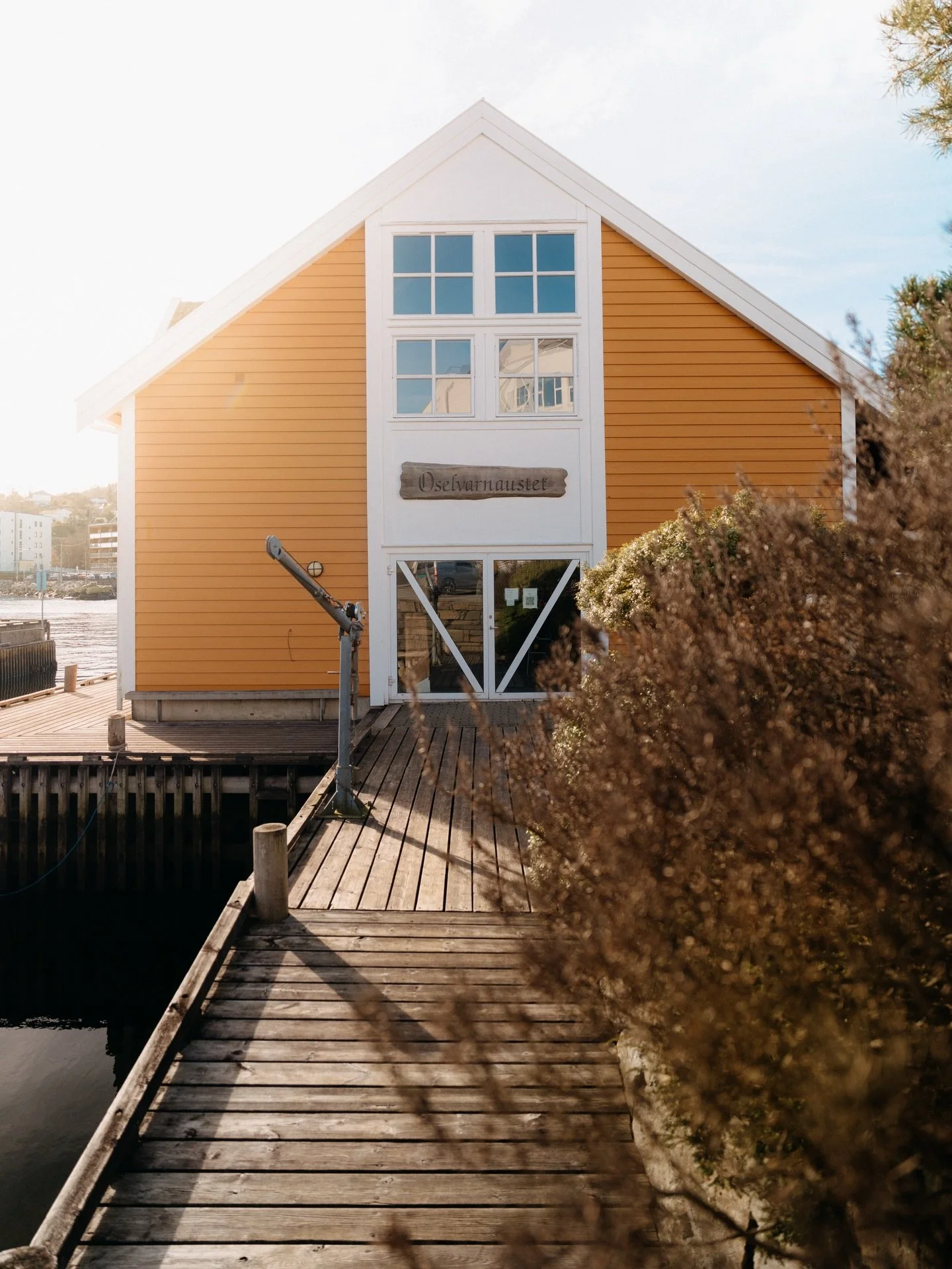 Spring is coming to town ☀️🇳🇴
#vestland #norwayphotos #norway