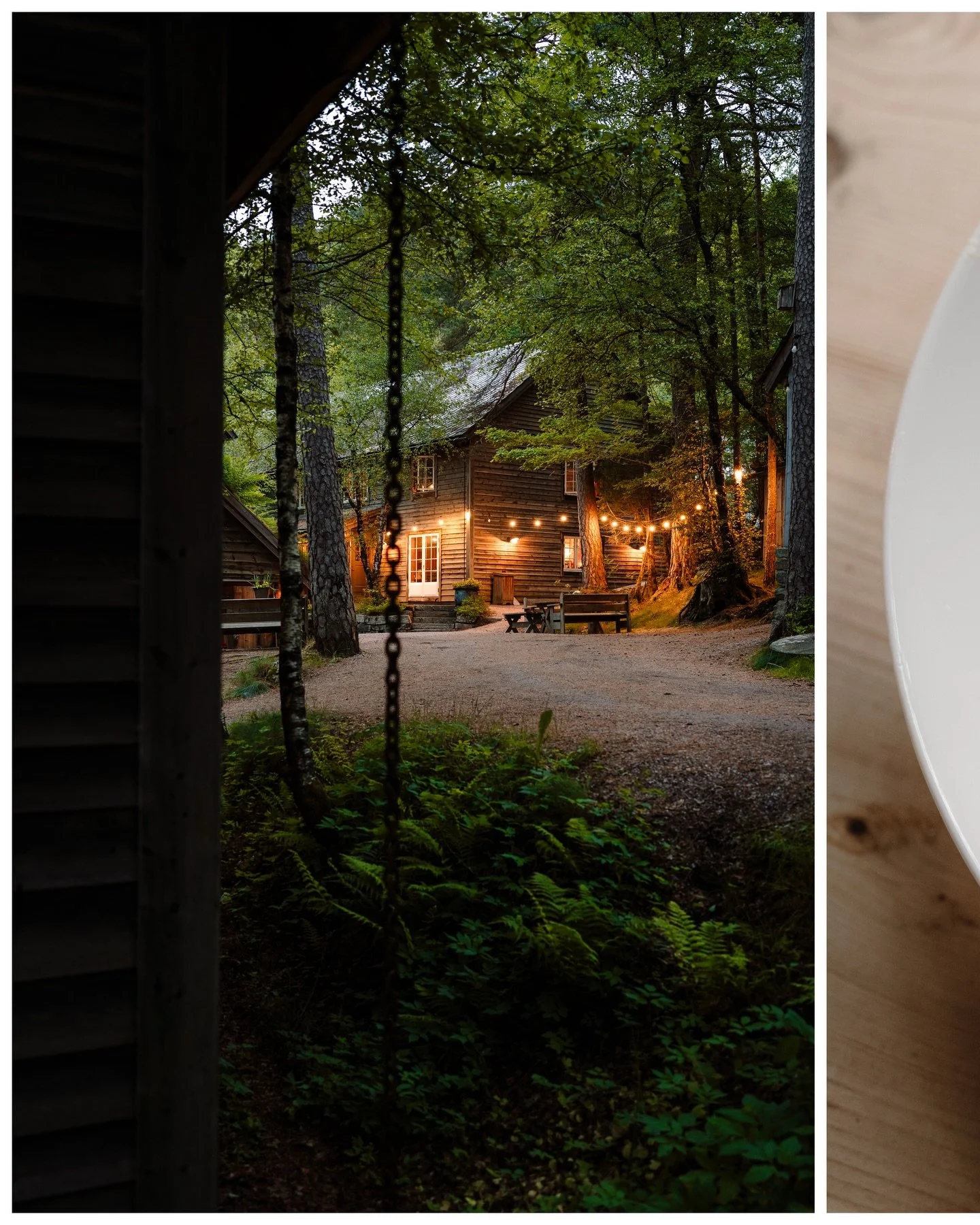 Wedding season starts soon and there are so many beautiful locations to choose from? Where would you like to celebrate your big day? 
@hardingasete is definitely a place where magic happens 💚🇳🇴
#weddinglocation #bryllup #weddingday #wedvibes