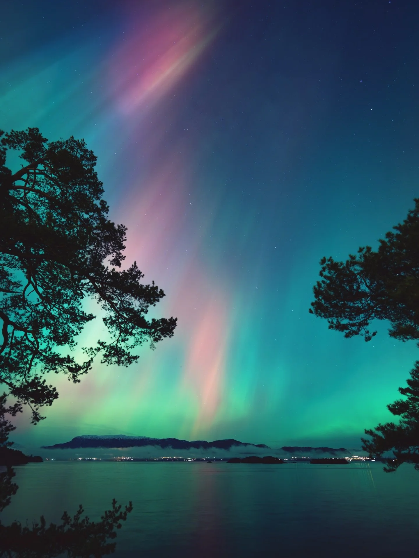 Chasing the lights 🌟 
#nordlys #auroraborealis #norwayinanutshell