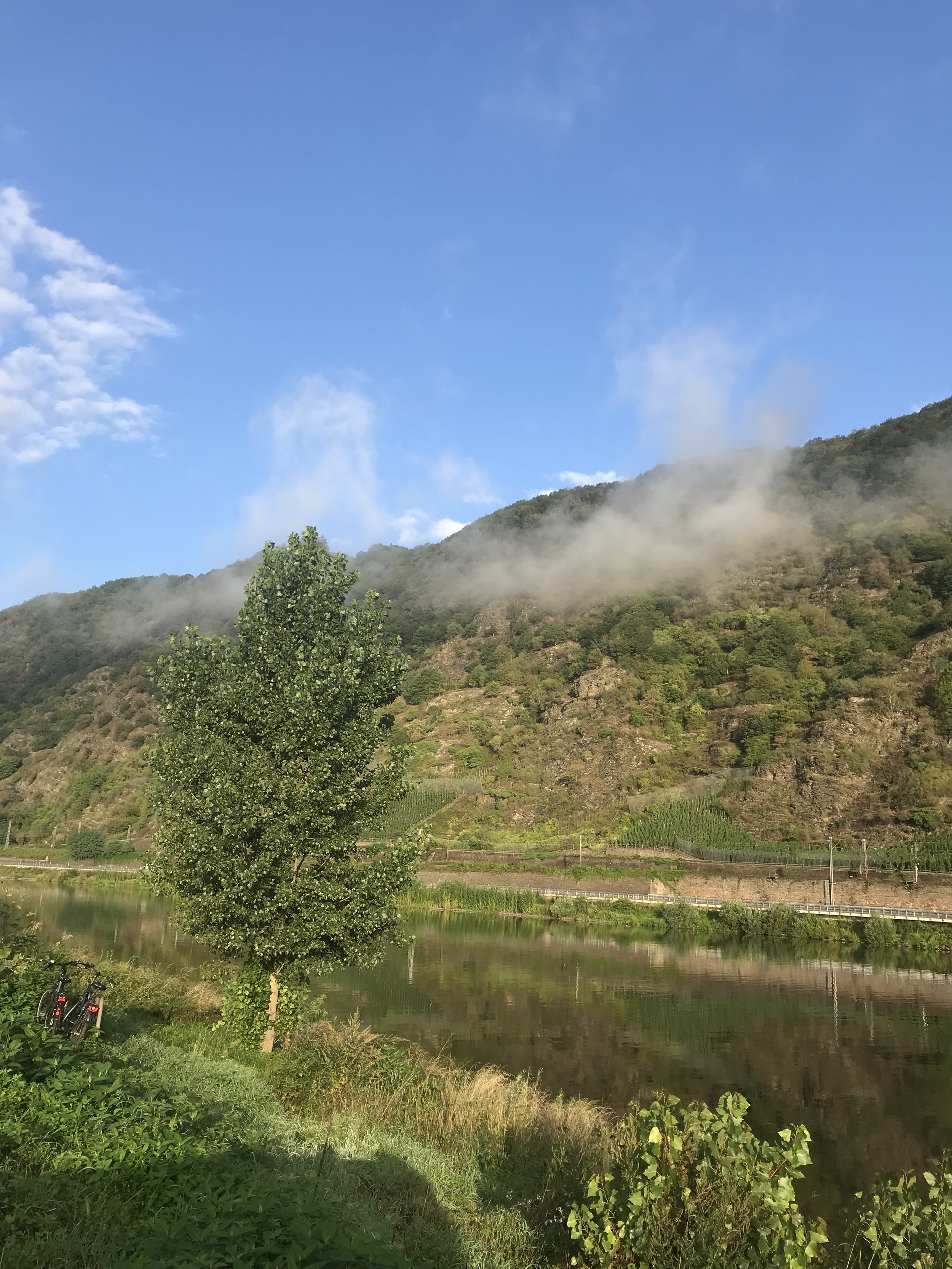 Nature and Wellbeing