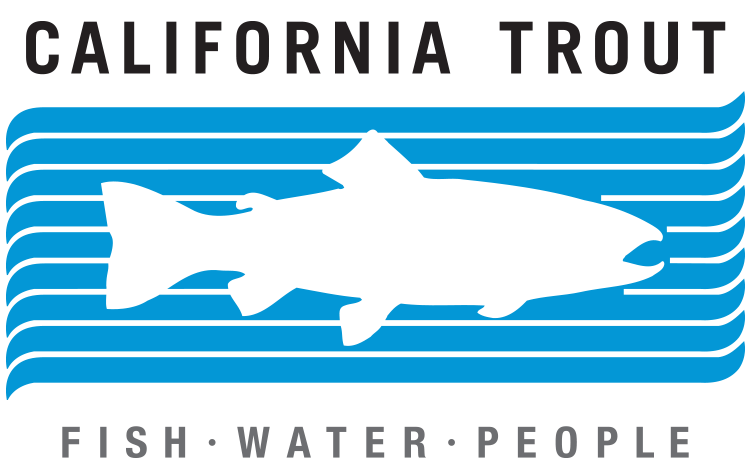 CT_FWP_black_transparent.png