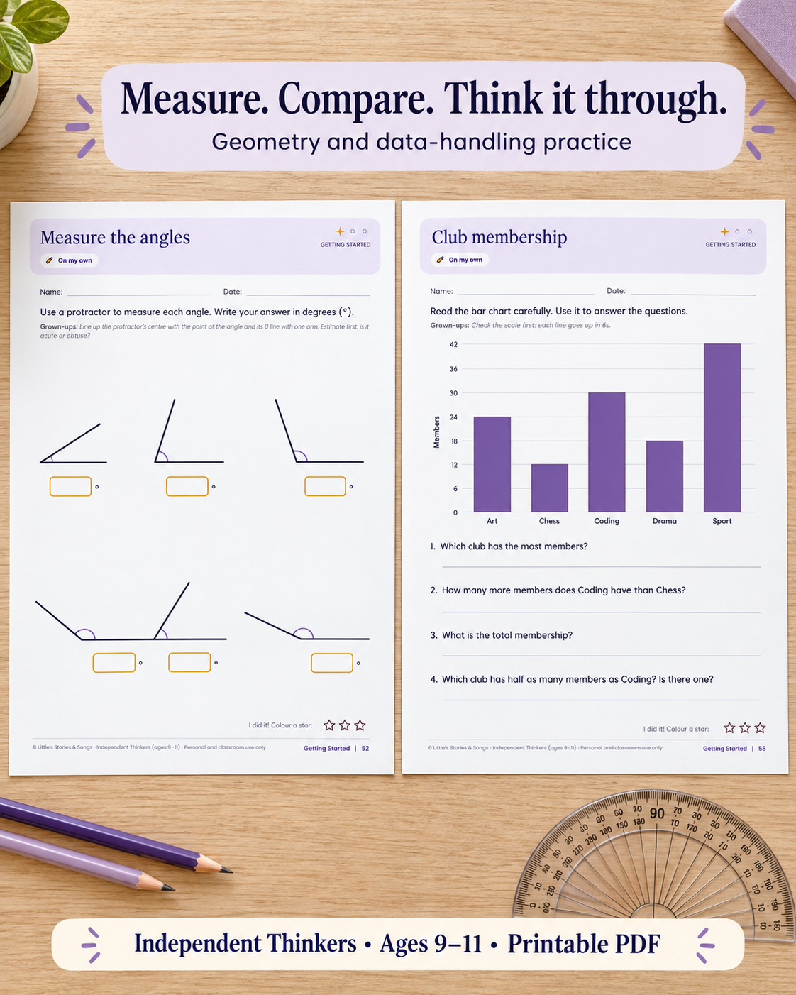 Independent Thinkers Geometry & Data Worksheets-3.png