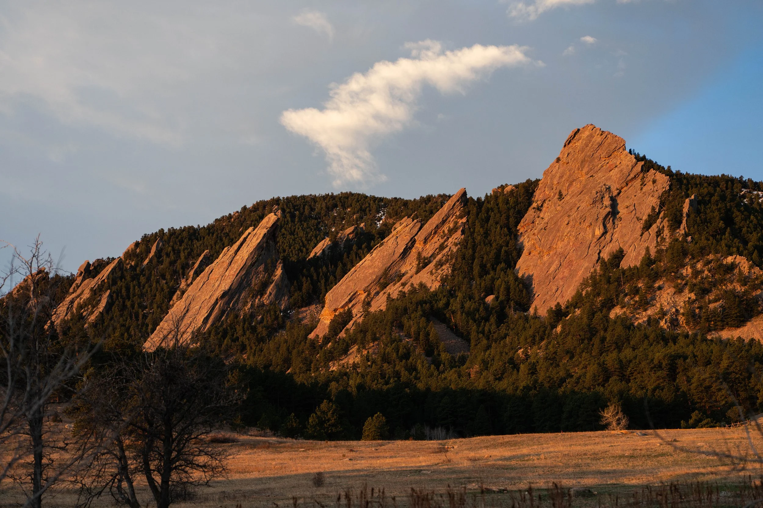 The Peak of Romance: Why Boulder, Colorado is the Ultimate Wedding Destination