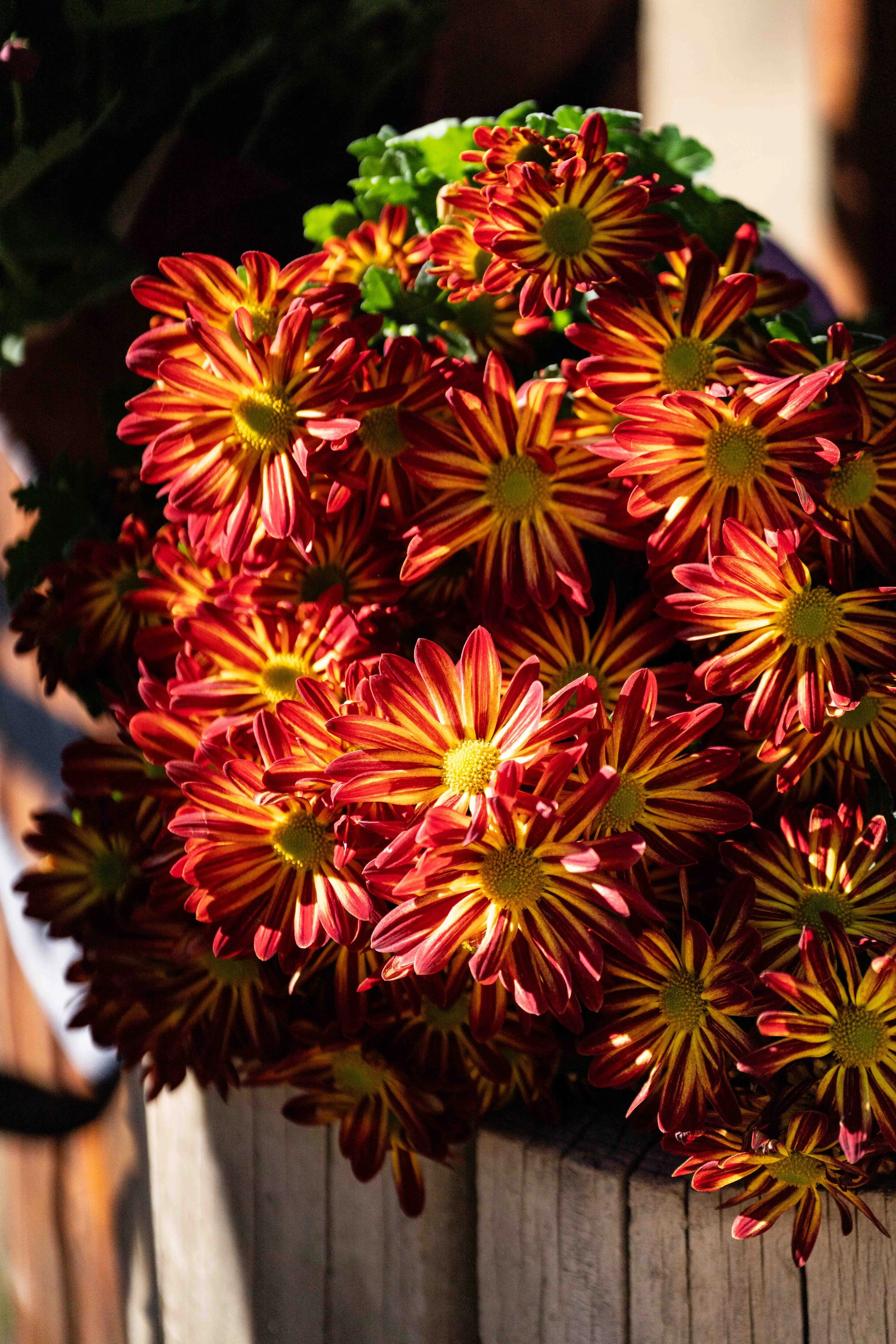 2025_10_18_Wedding Low Rez-9.jpg