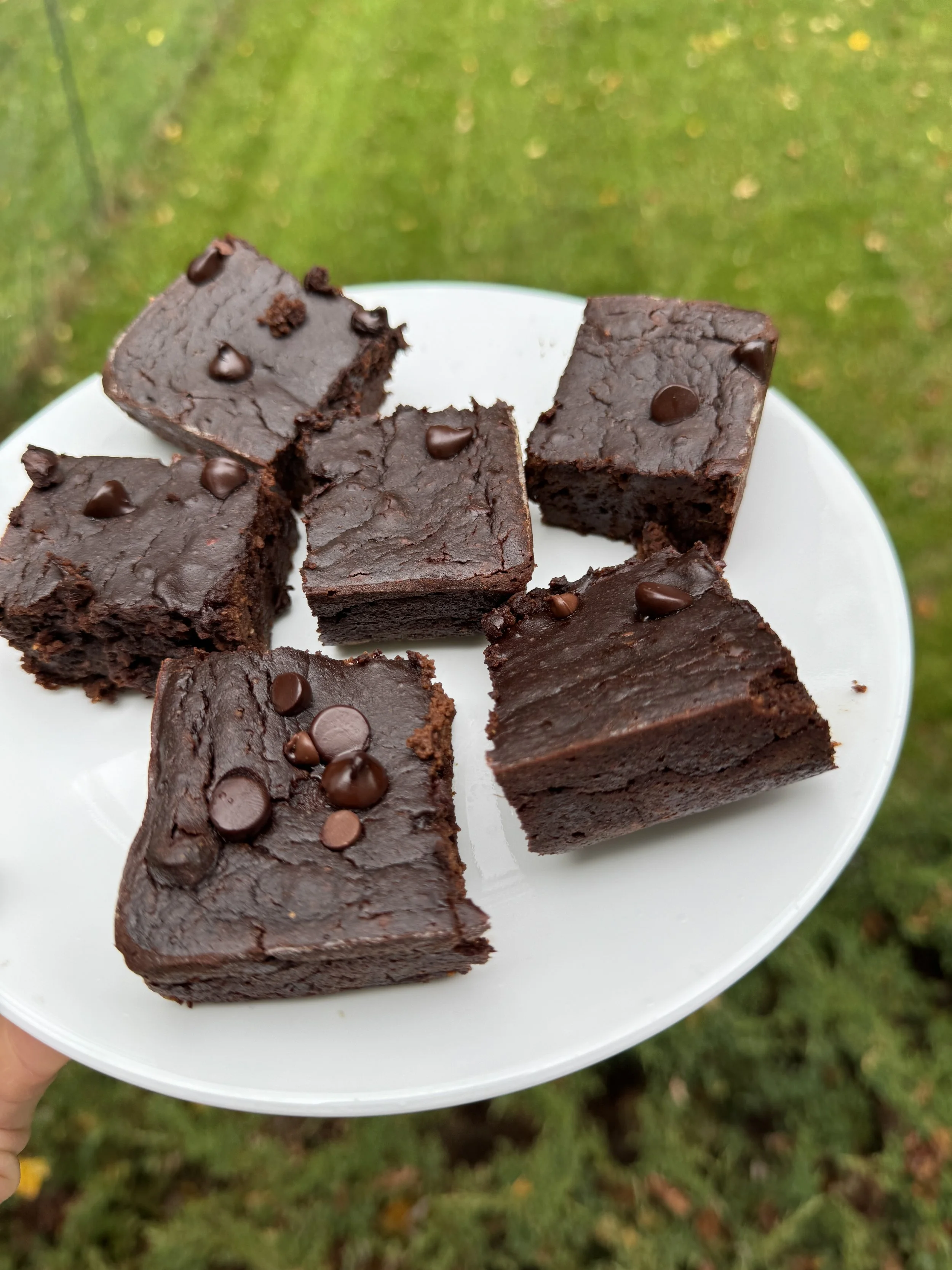 Pumpkin Protein Brownies