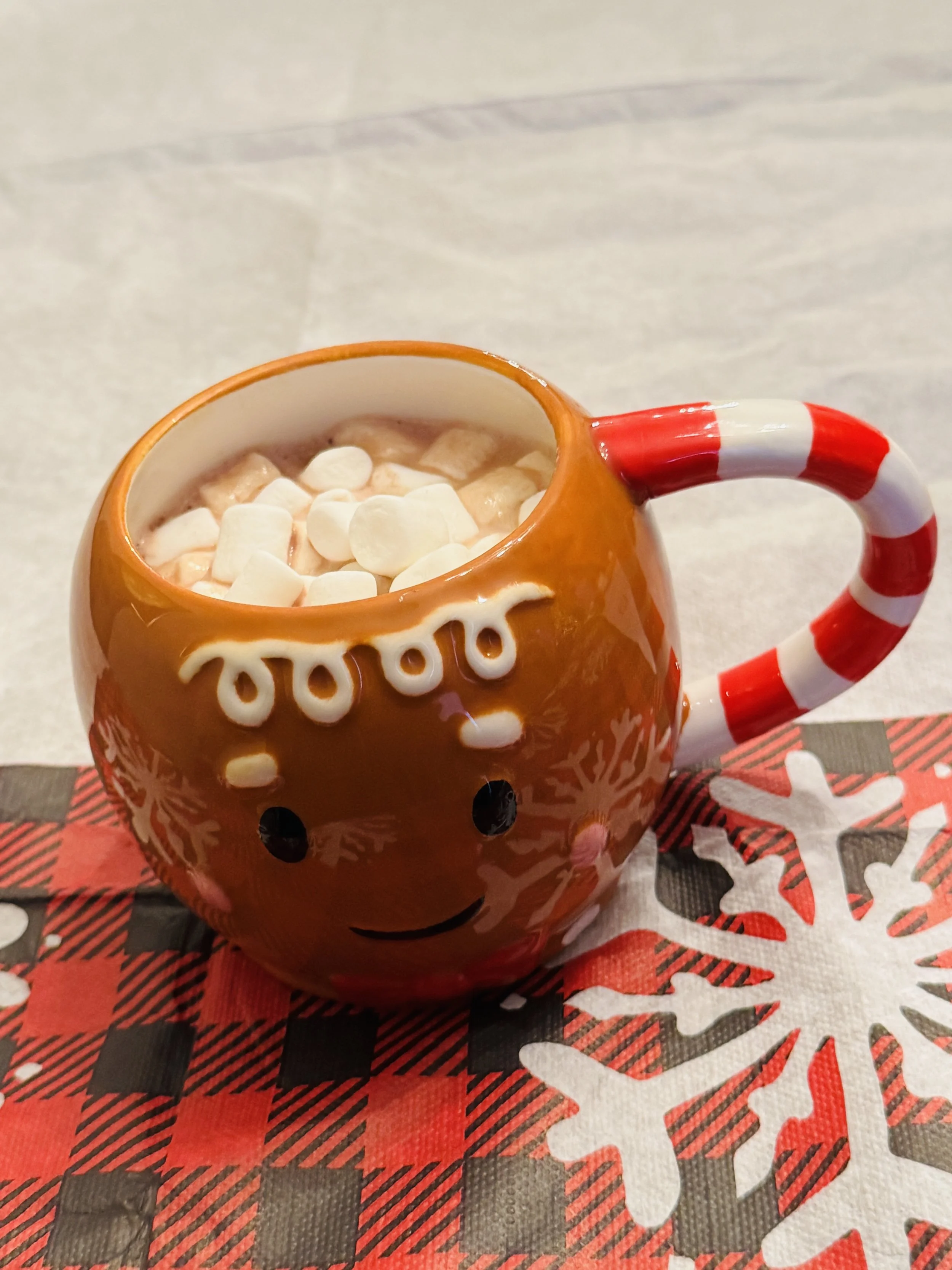 High-Protein Hot Chocolate