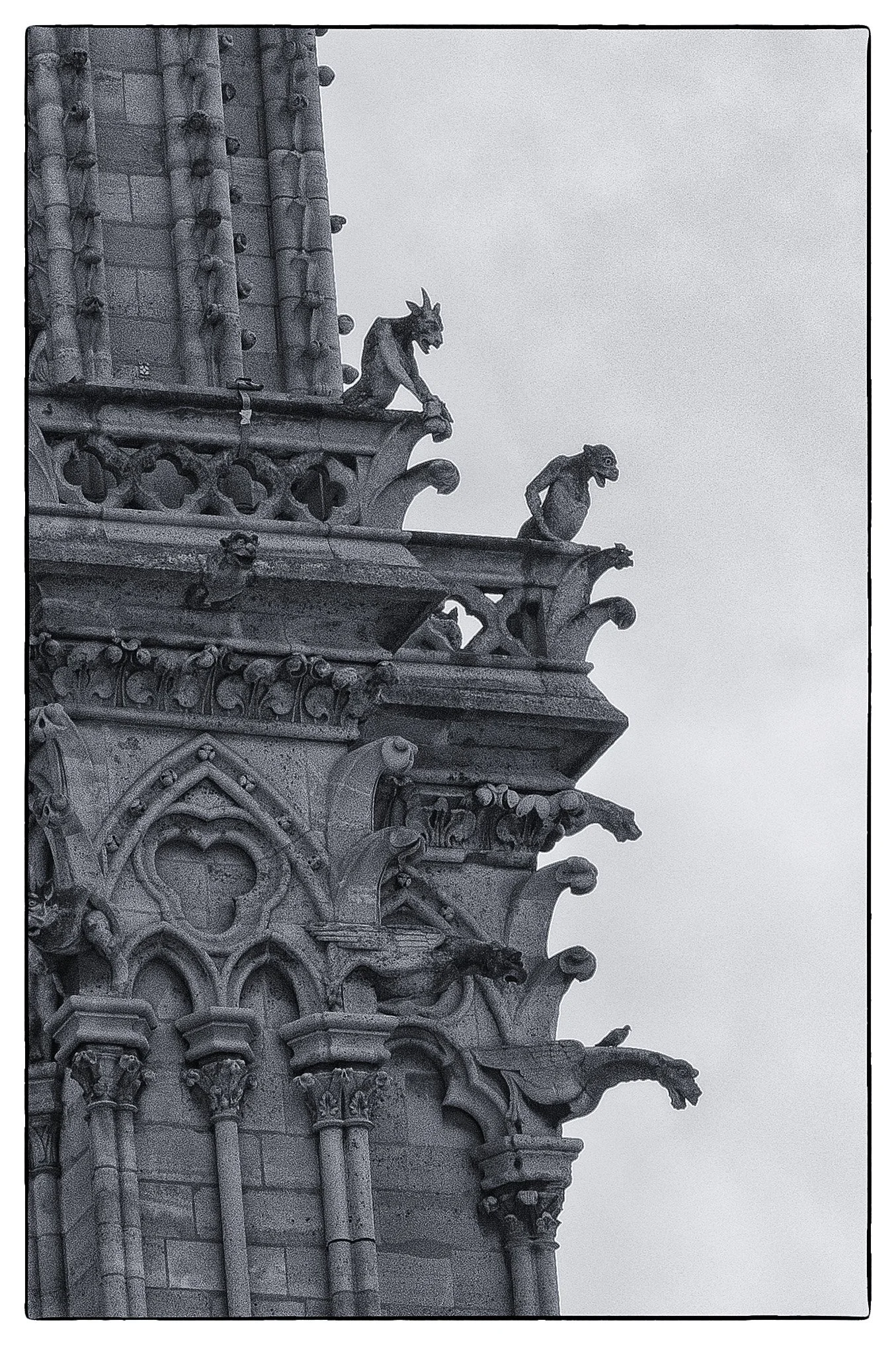 _W3A2895-PSdenoisecrpNIKViCEPframeDESPsilverEfexstreet2 copy.jpg