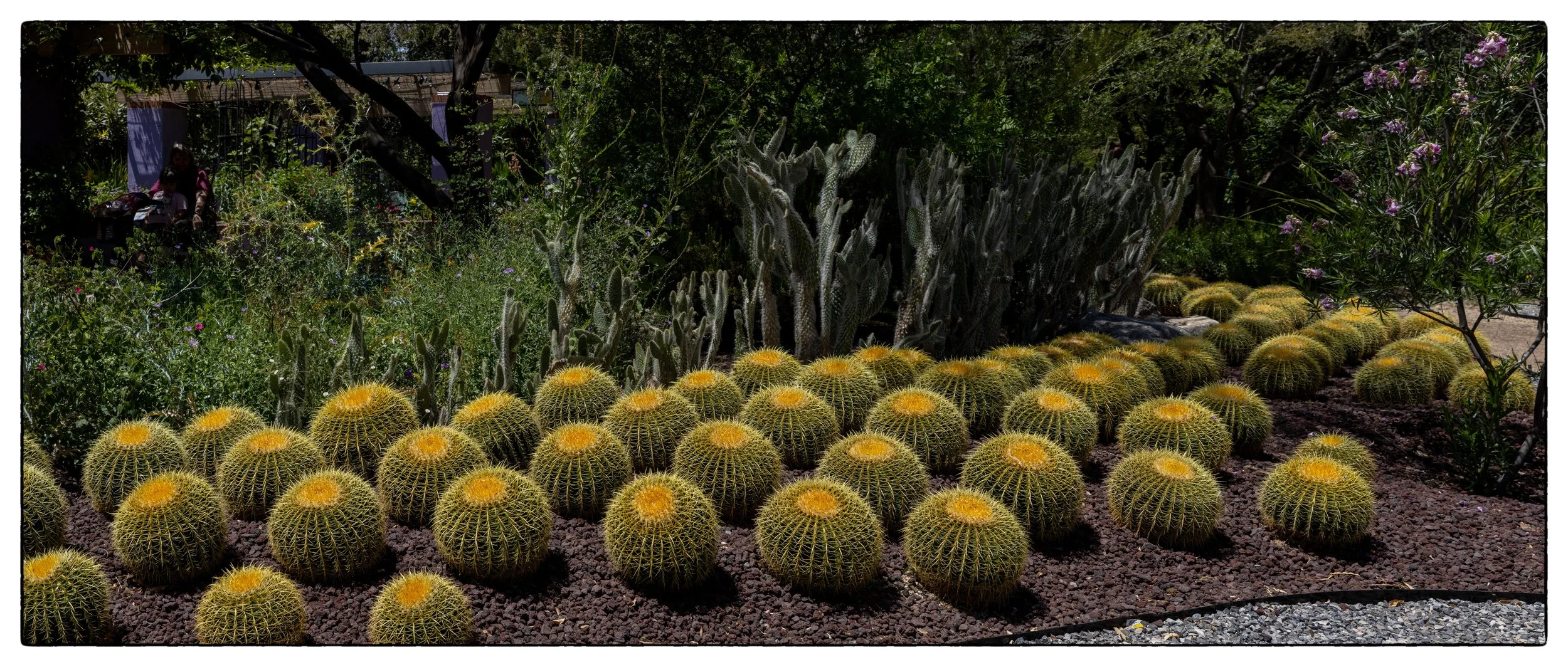 _W3A9166-PanoTucsonBotGrd copycrp18MB.jpg