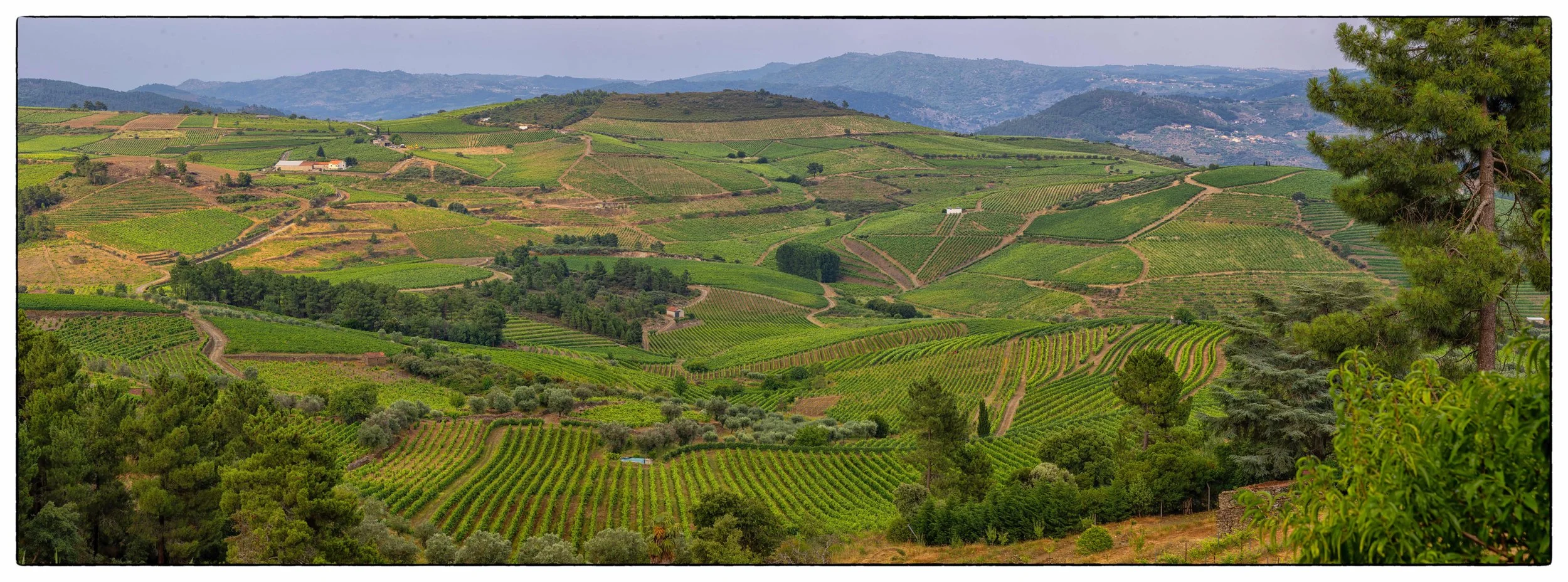 _W3A1044-HDR-PanoHDRPSclndenoiseNIKViCEPframeDESP40 copysize2.jpg
