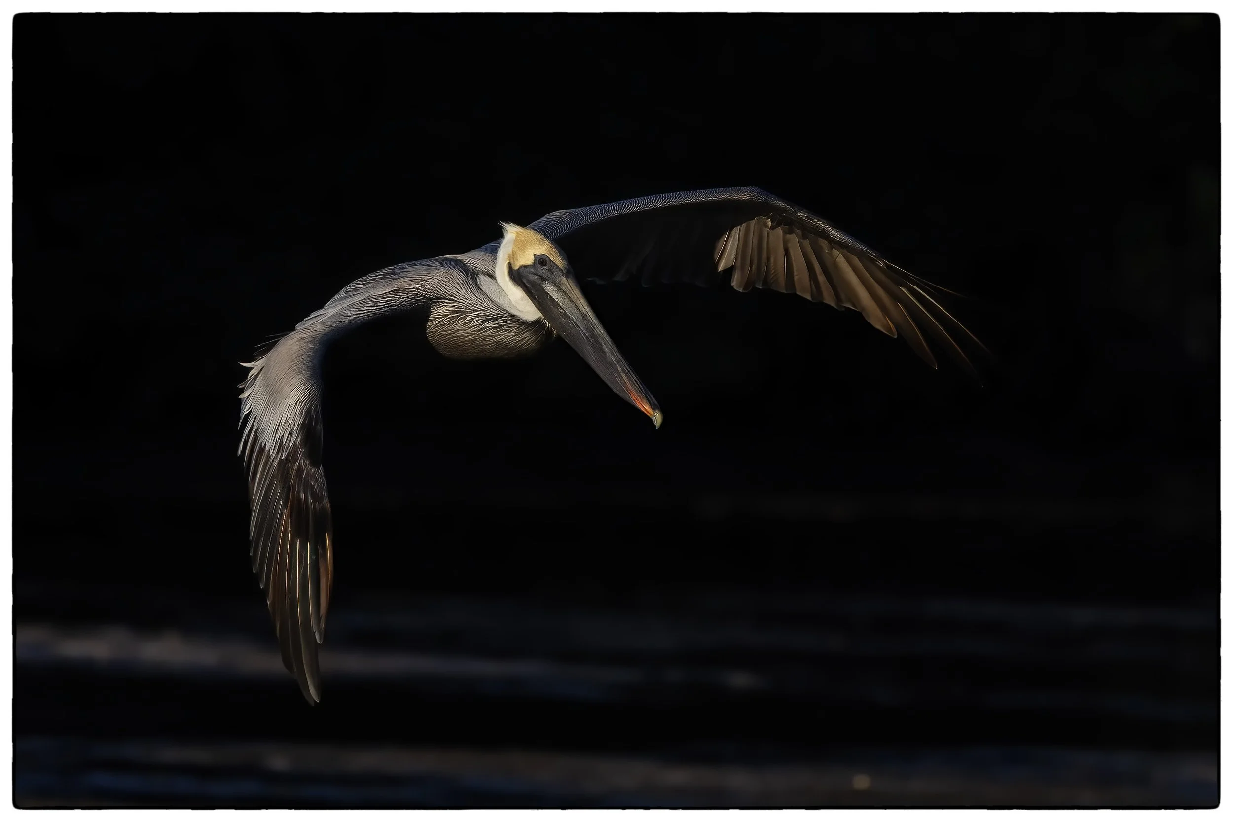 _59A4686PScrpdenoiseNIKViCEPDE11SP copy.jpg