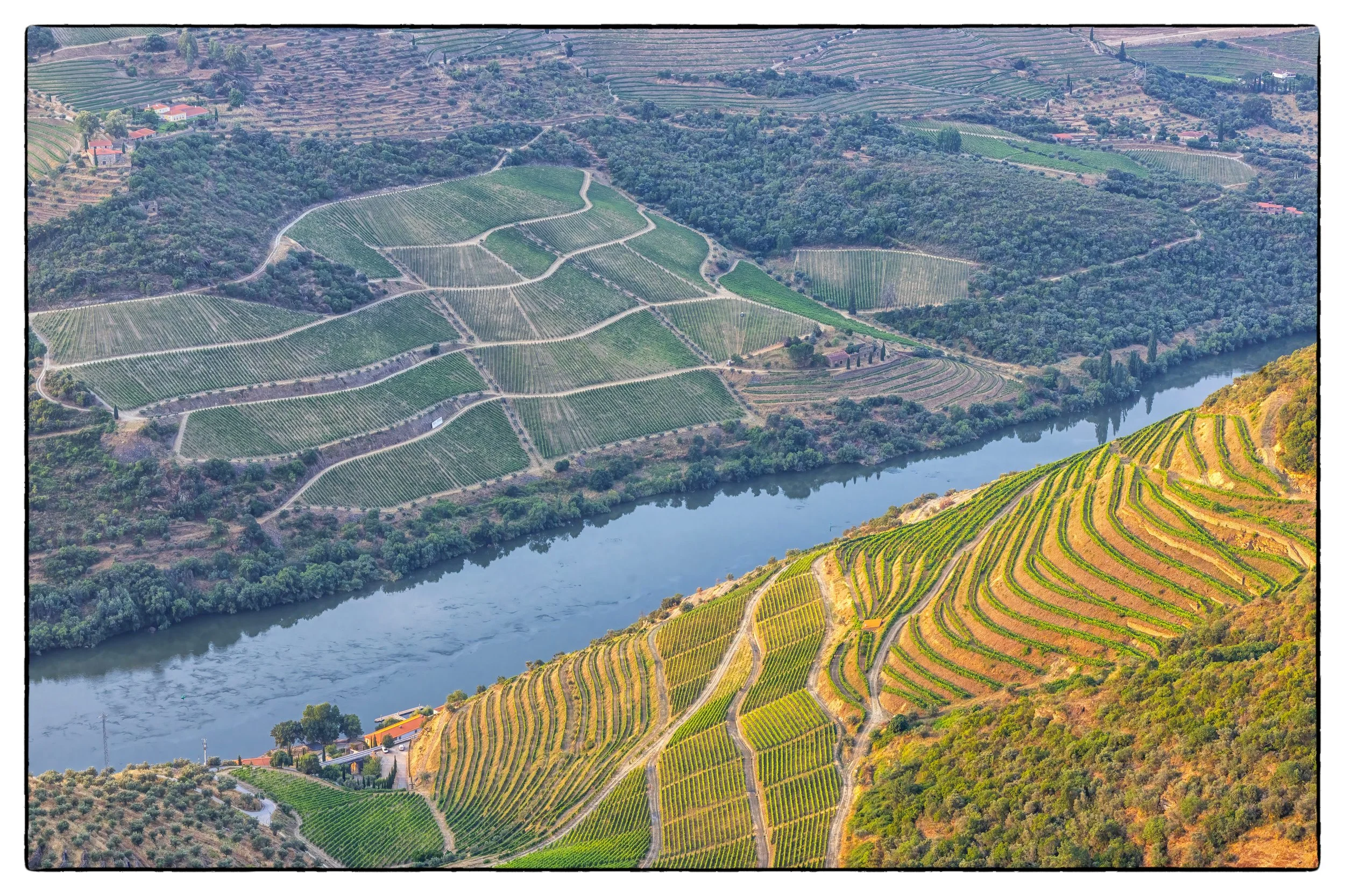 Douro Valley vineyards