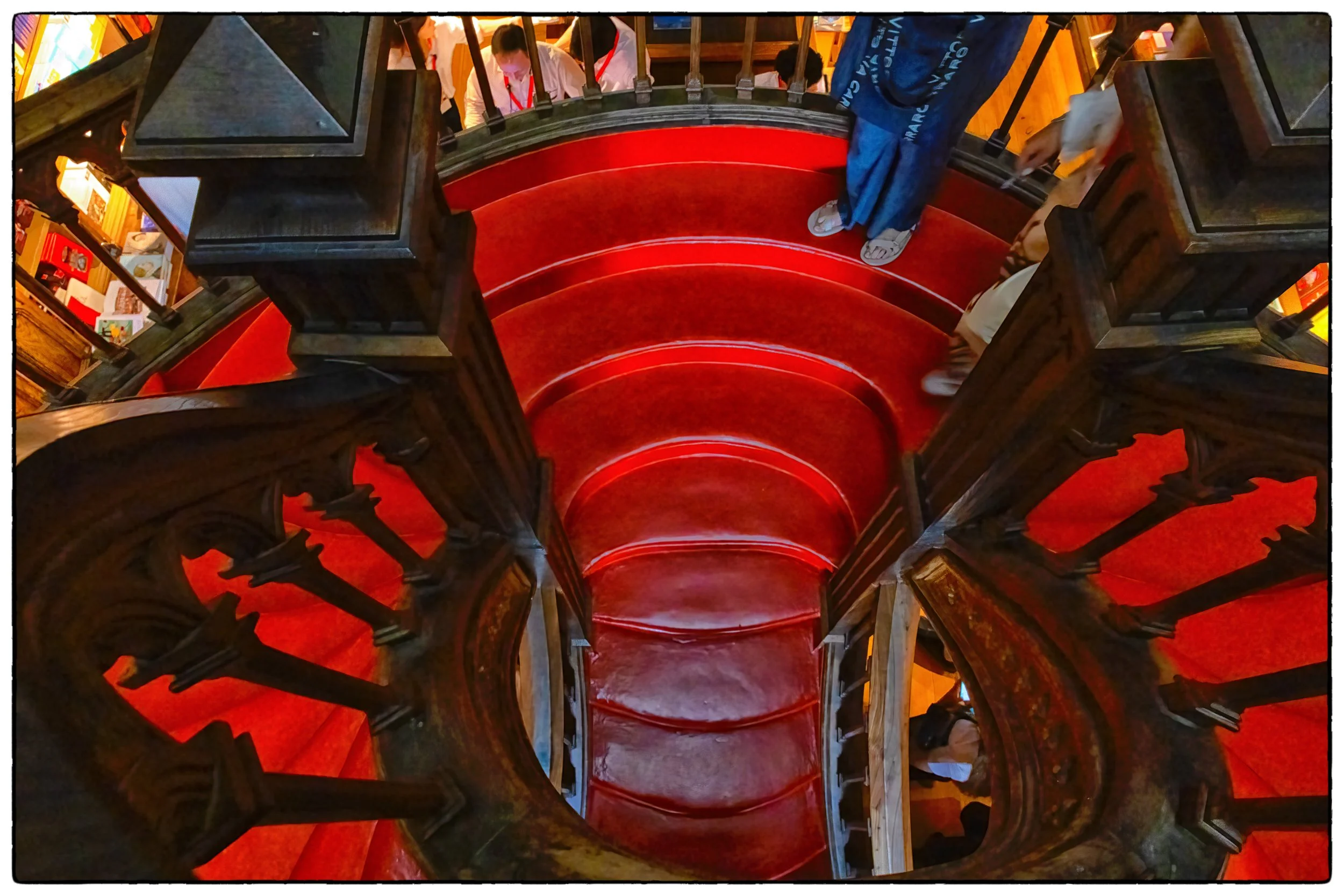 Spiral staircae Livaria Lello