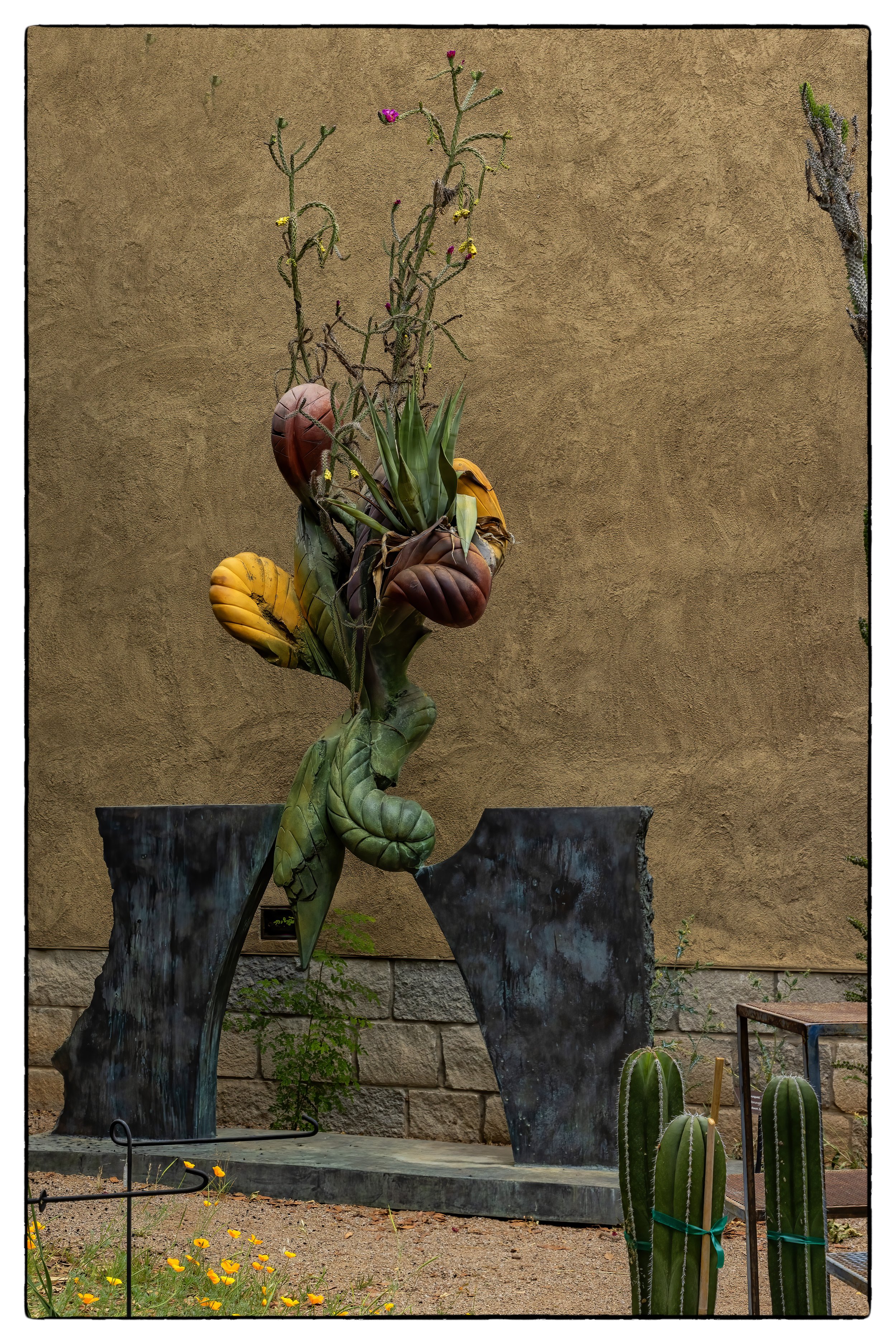 STucsonBotGrdcrpdenoiseNIKViCEPframeDE11SPscupture copy.jpg