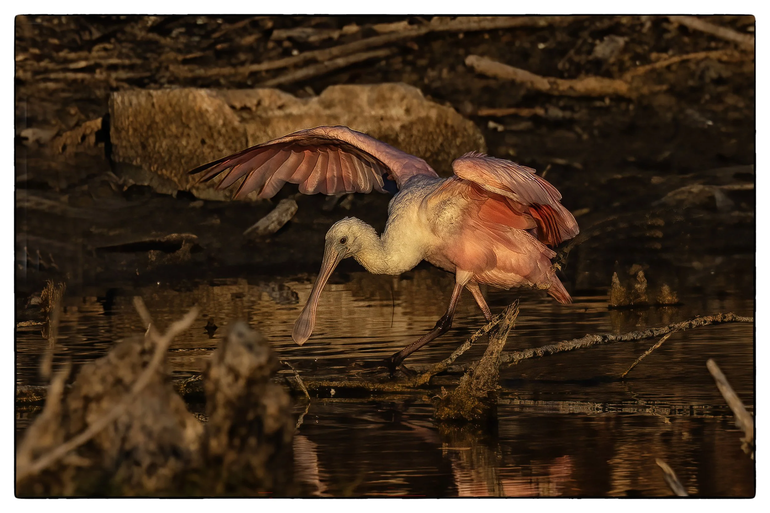 _59A9861 sizeclncopy.jpg