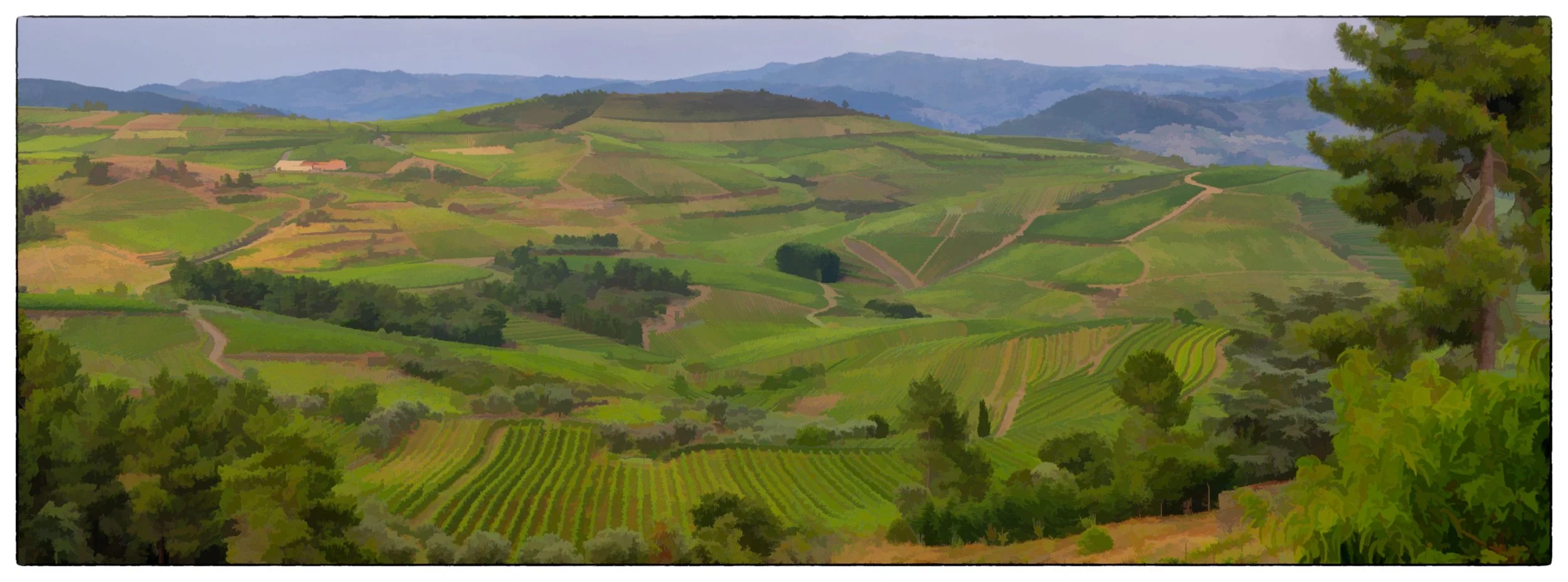 Vineyard Douro Valley, watercolor, Portugal