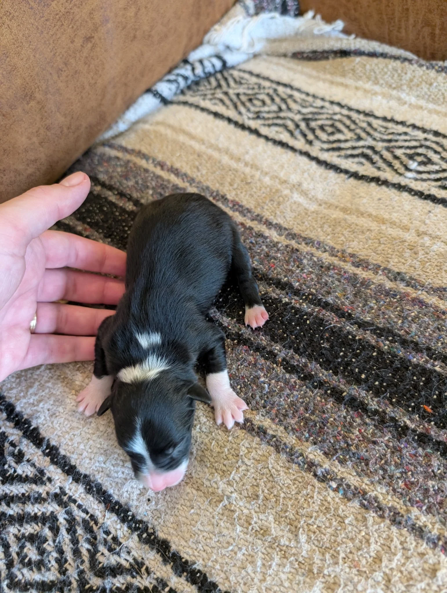 7975741855356531412 4.JPG