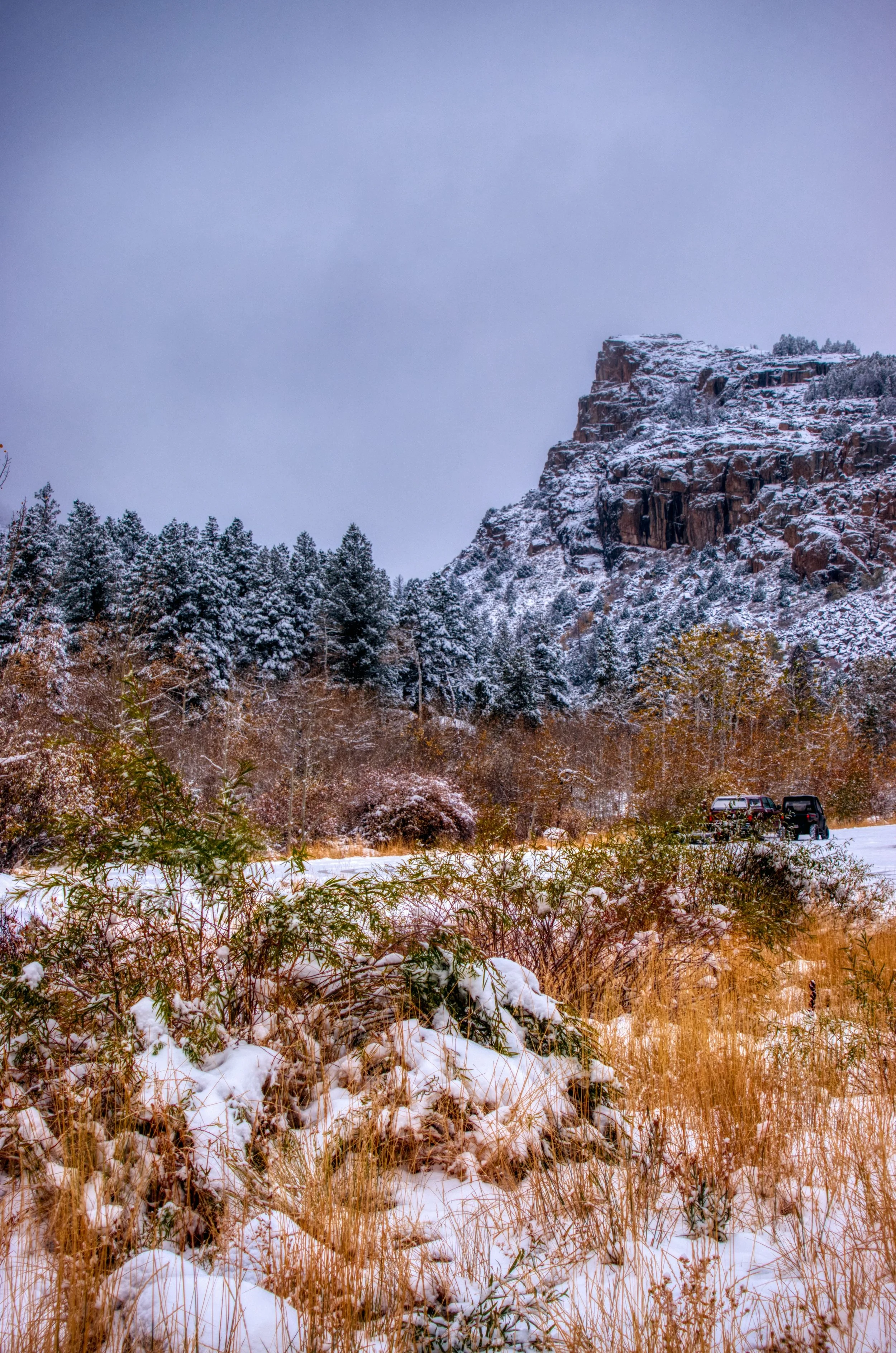 Snow-covered trees and rocky cliffs in a winter landscape with a cloudy sky.
