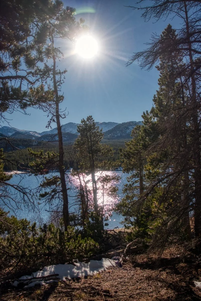 Sun shining over a lake surrounded by pine trees and mountains in the distance