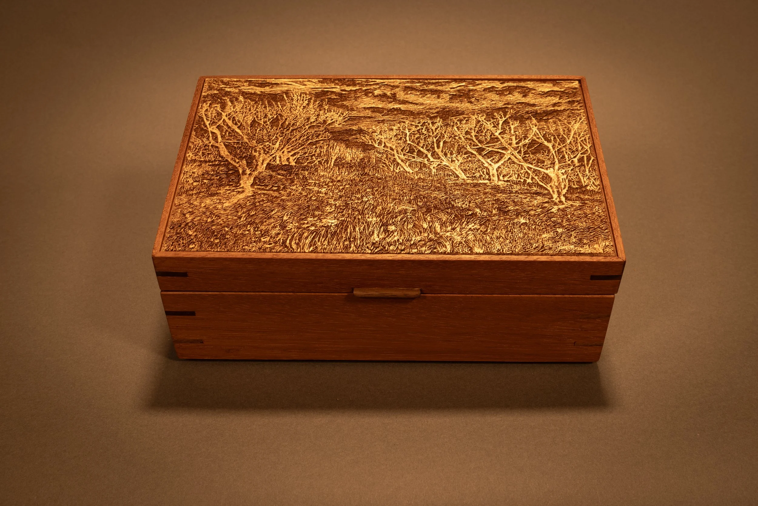 A wooden box with a carved landscape scene on the lid, featuring trees and textured ground.
