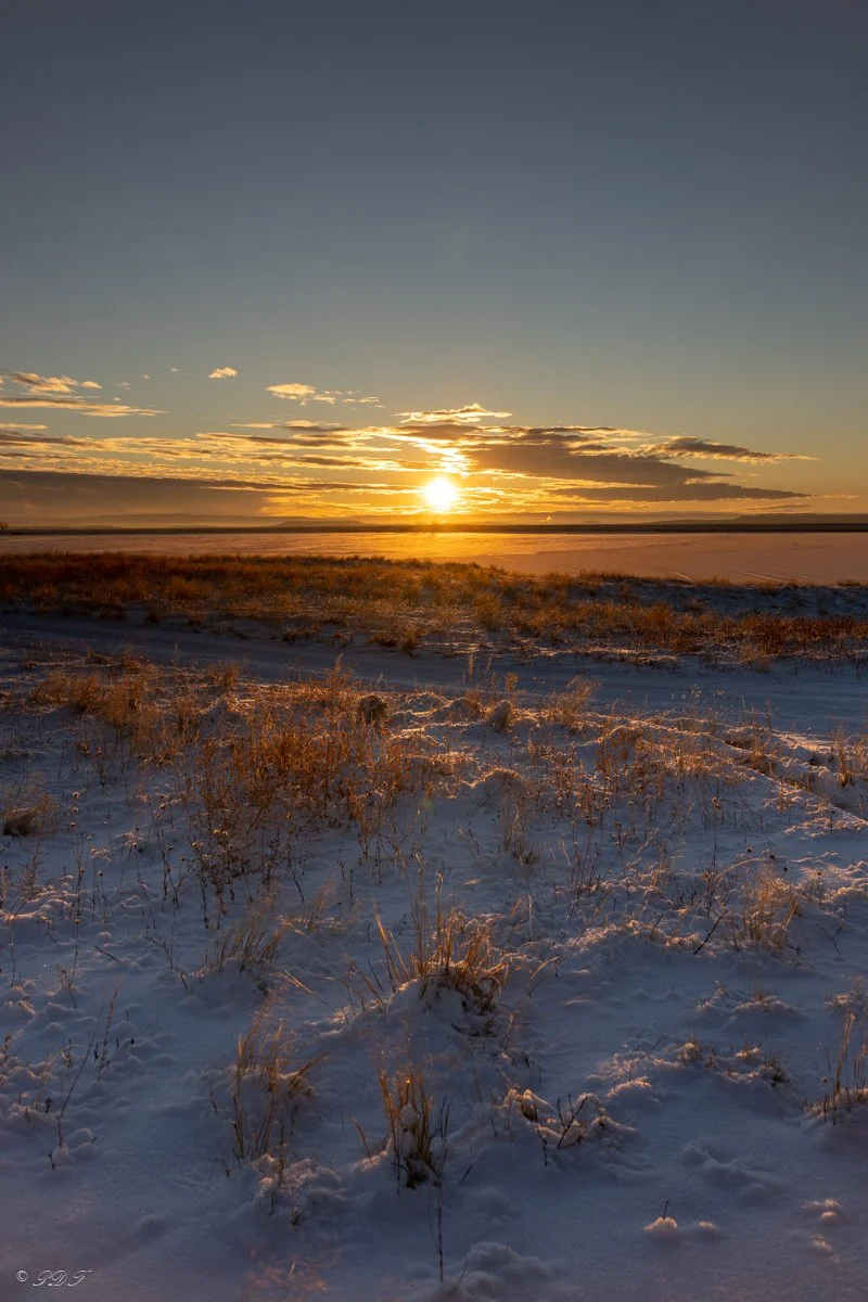 Sunset over a snowy field with dry grass and a partly cloudy sky.