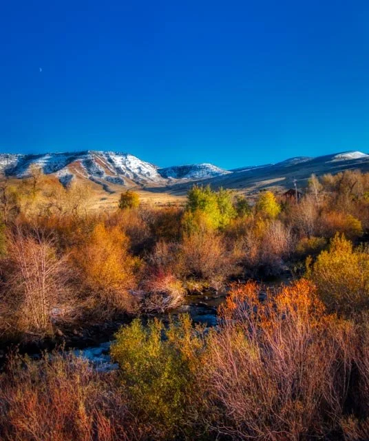 Scenic landscape with snow-capped mountains, a blue sky, and colorful autumn trees.