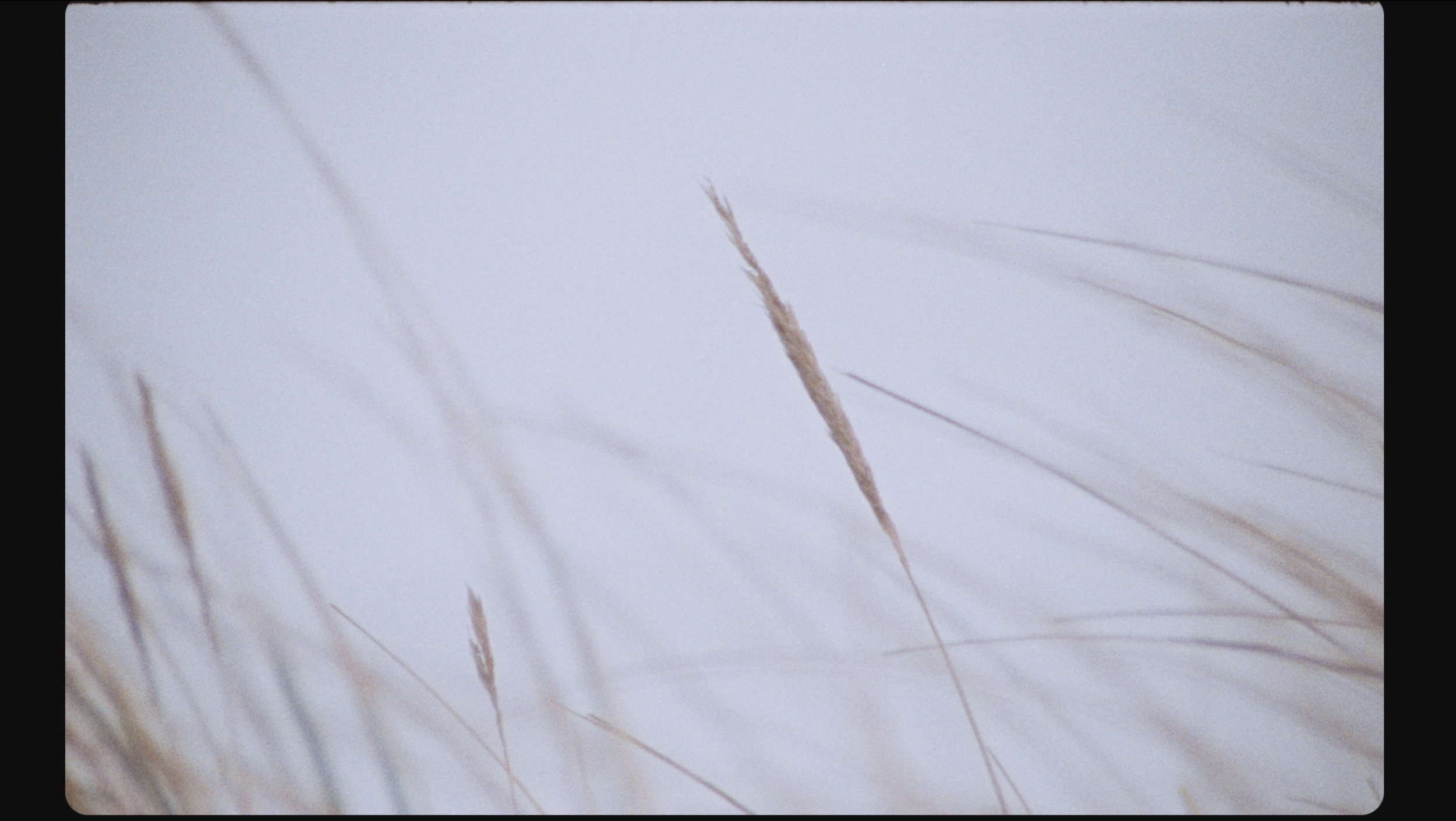 Screenshot 2024-07-10 at 14.57.04.png