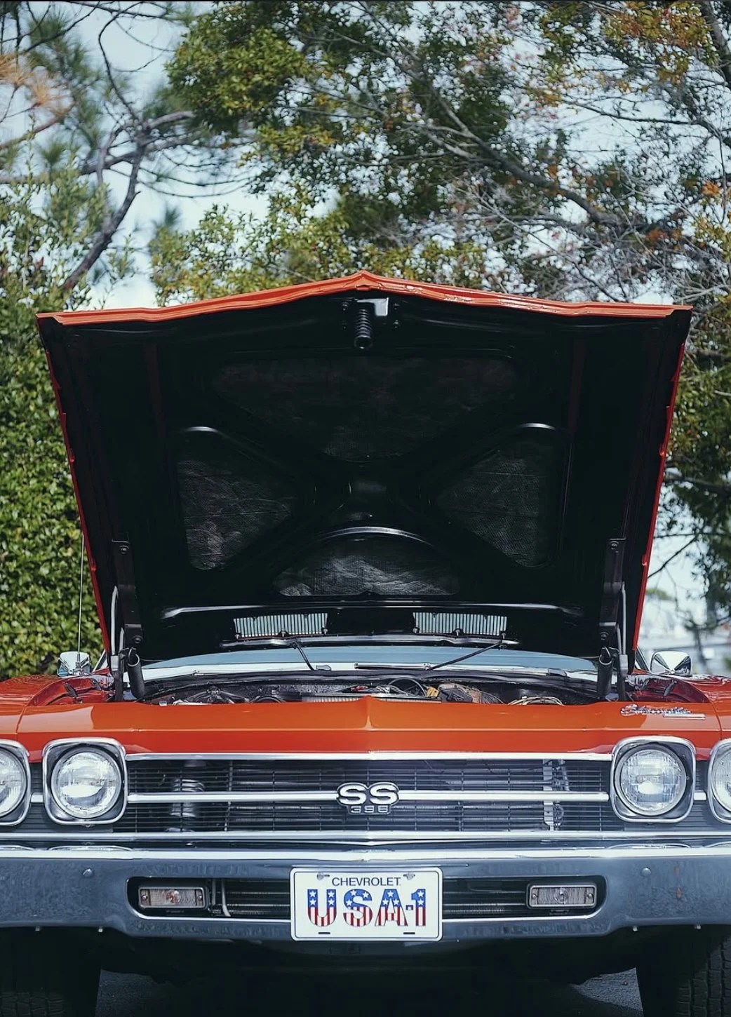 car 8.jpg
