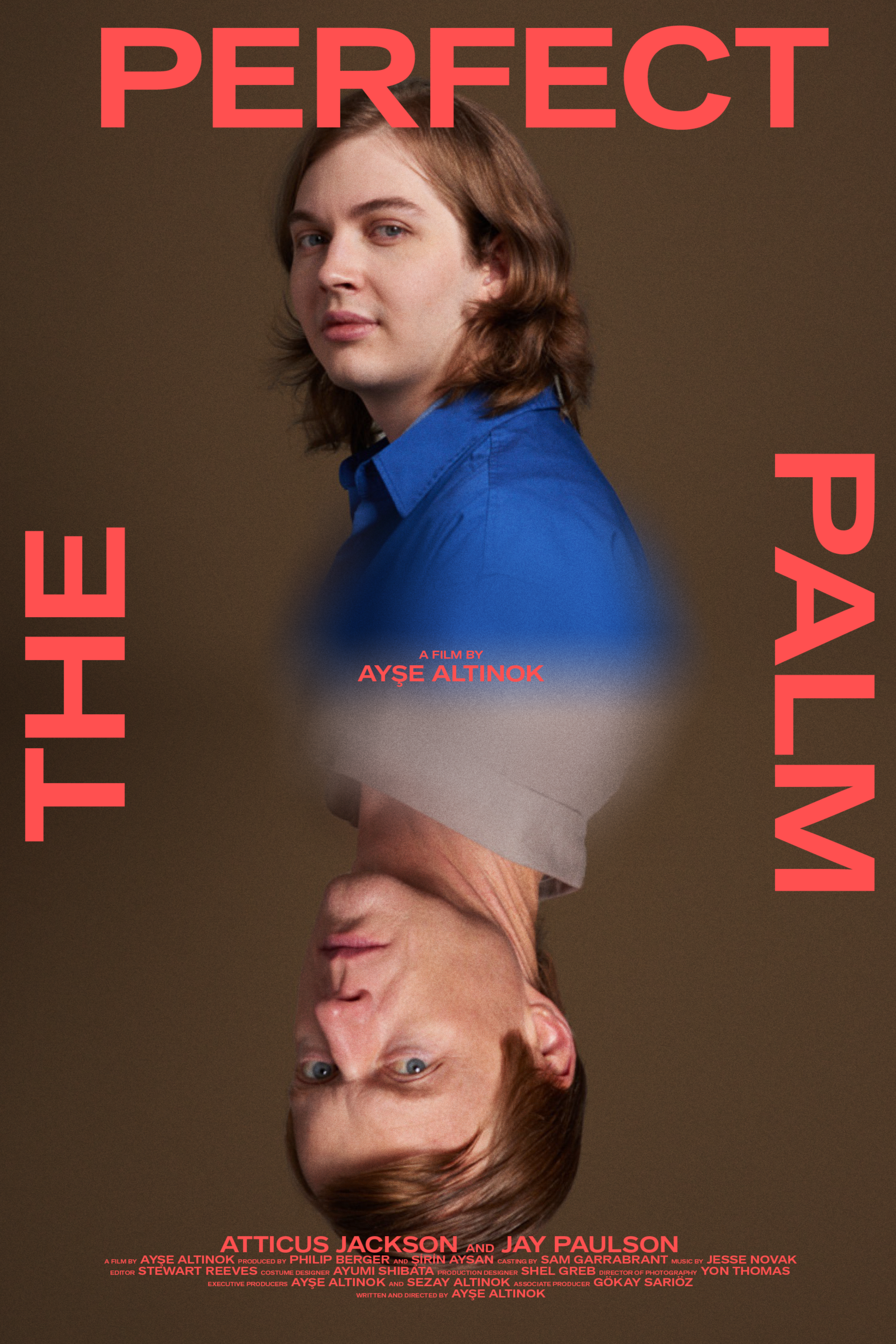 The Perfect Palm
- view -