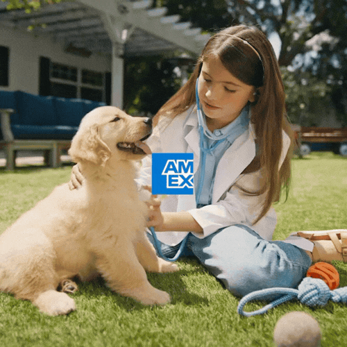 AMEX Business Platinum Card
- view -