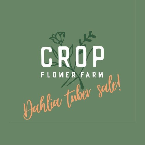THIS THURSDAY. 29 May. 7.30pm. Another tuber sale, you may ask?! YES! But this is one you DON'T want to miss. Every purchase goes into a draw to win a special CROP prize which will take your dahlia growing to the next level! We are also going to be r