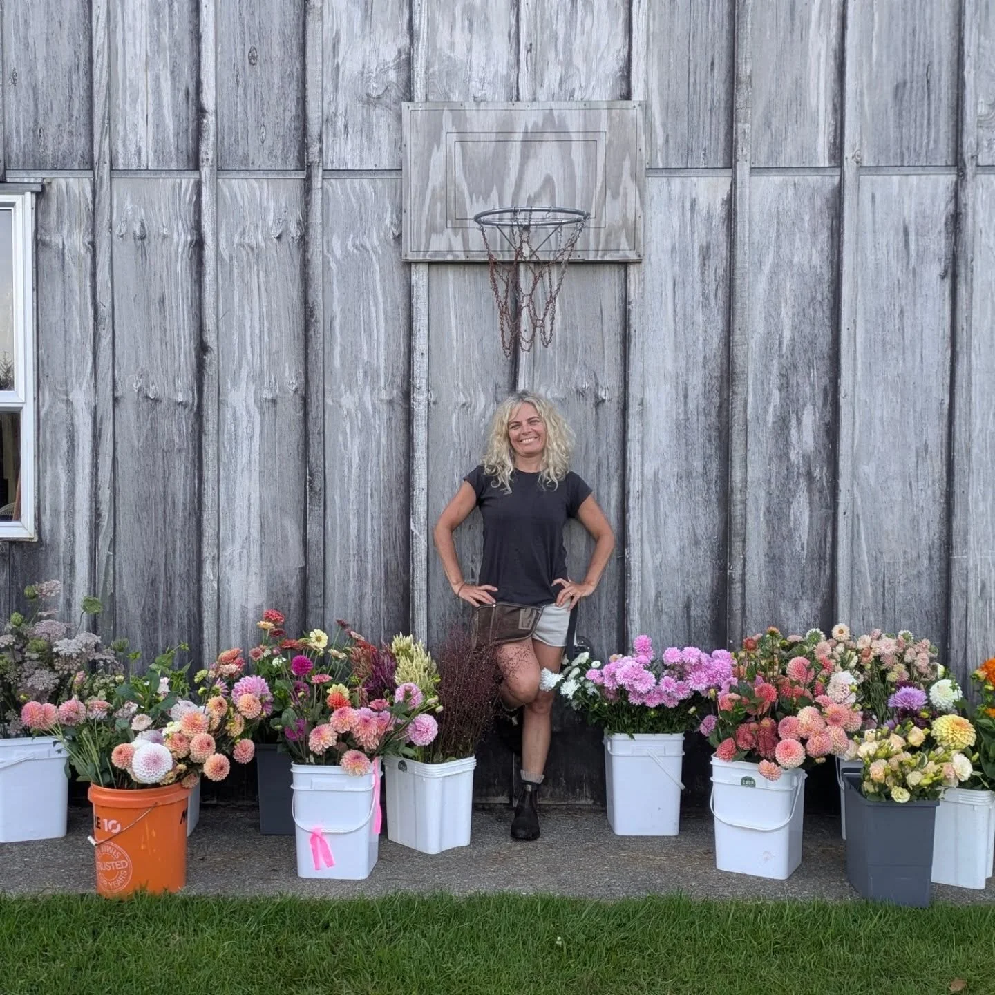 I am so very grateful as we never harvested in the rain for this Valentine's day! In fact, it's been so hot!!! It's the first time ever where I have been dry for the harvest! Yay! I love celebrating these small wins. 

Another small win is that the o