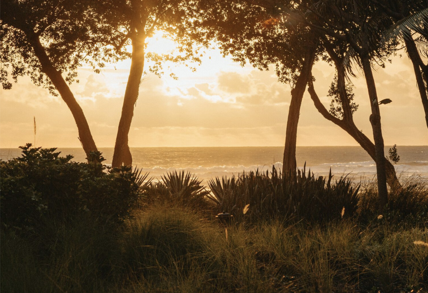 Screenshot 2025-09-03 at 10.33.18 PM.png