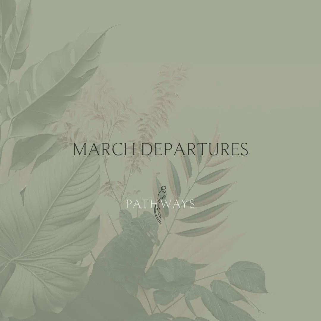 Spring break is done lots of different ways.

Here&rsquo;s where our clients are headed this month:

🌿 Adults-only all-inclusive luxury in Mexico at @impressionmoxche &mdash; elevated, romantic, effortless.

💍 A honeymoon in Panama with stays at @h