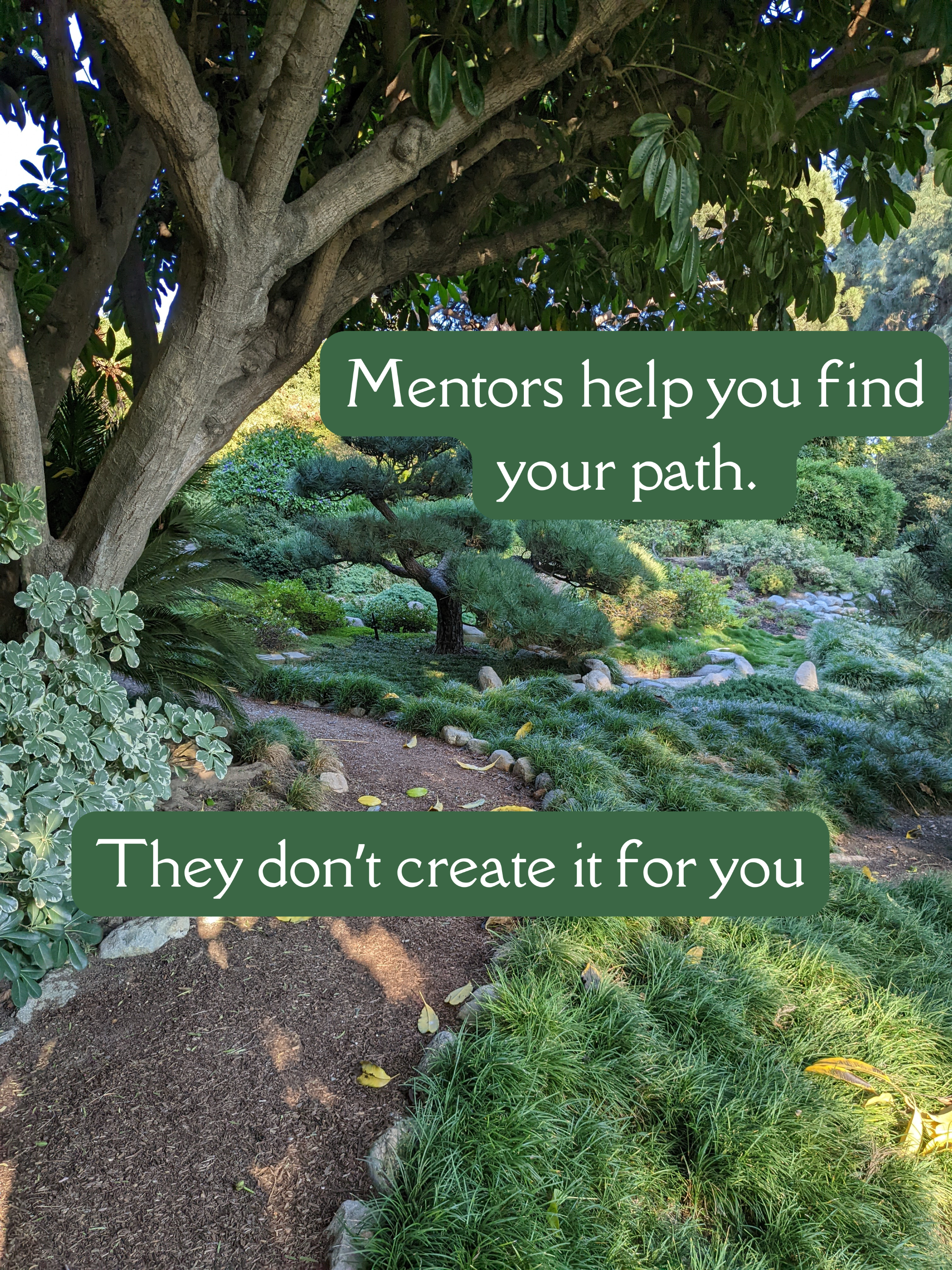 S2E1: Search for and Love thy Mentors