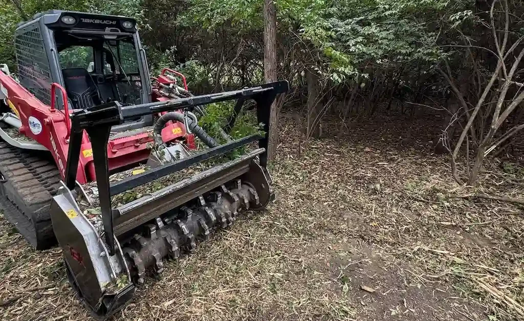 Why Winter Is the Best Time for Brush Clearing and Forestry Mulching in Kansas City