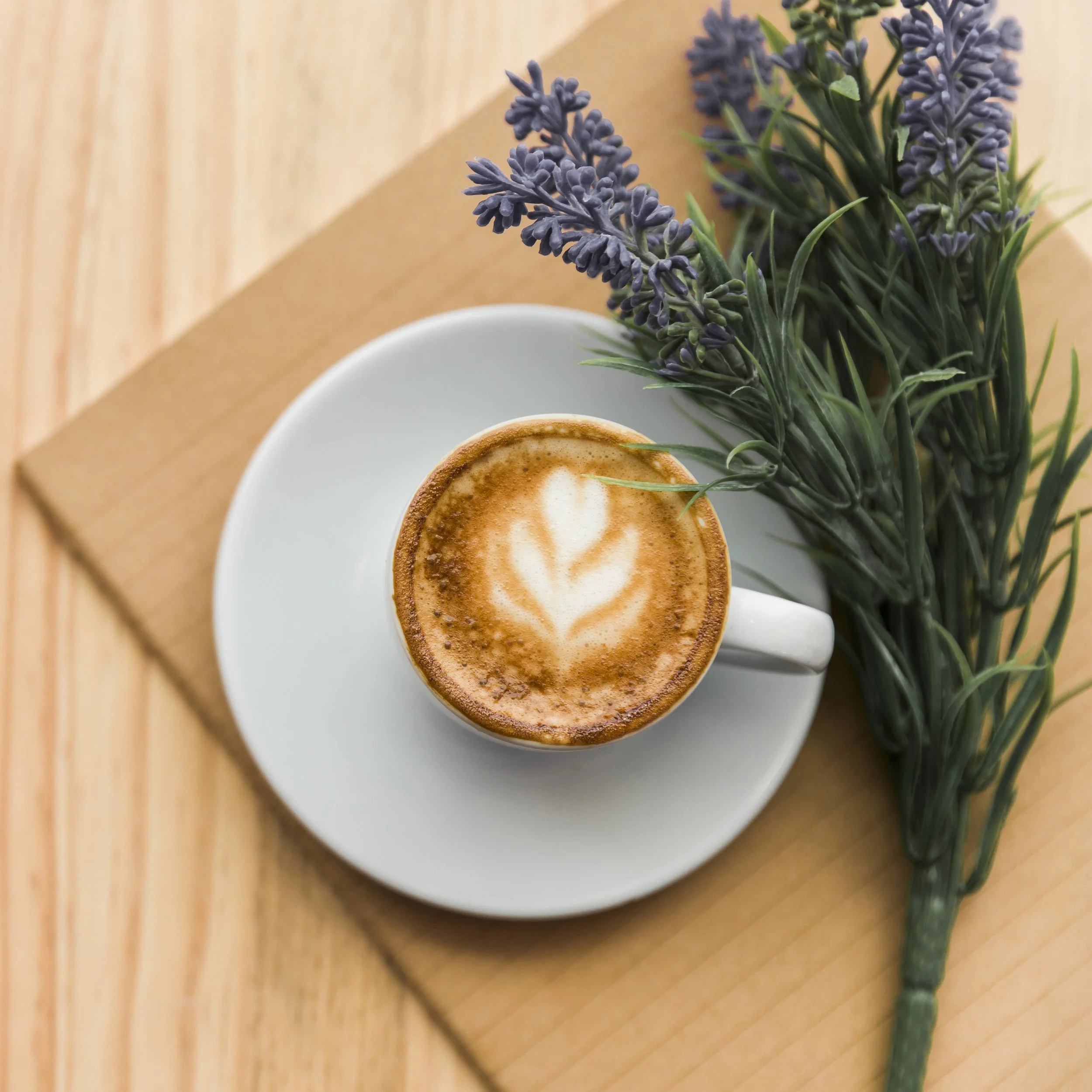 Chicory Coffee: A Prebiotic-Rich Coffee Alternative for a Healthier Gut