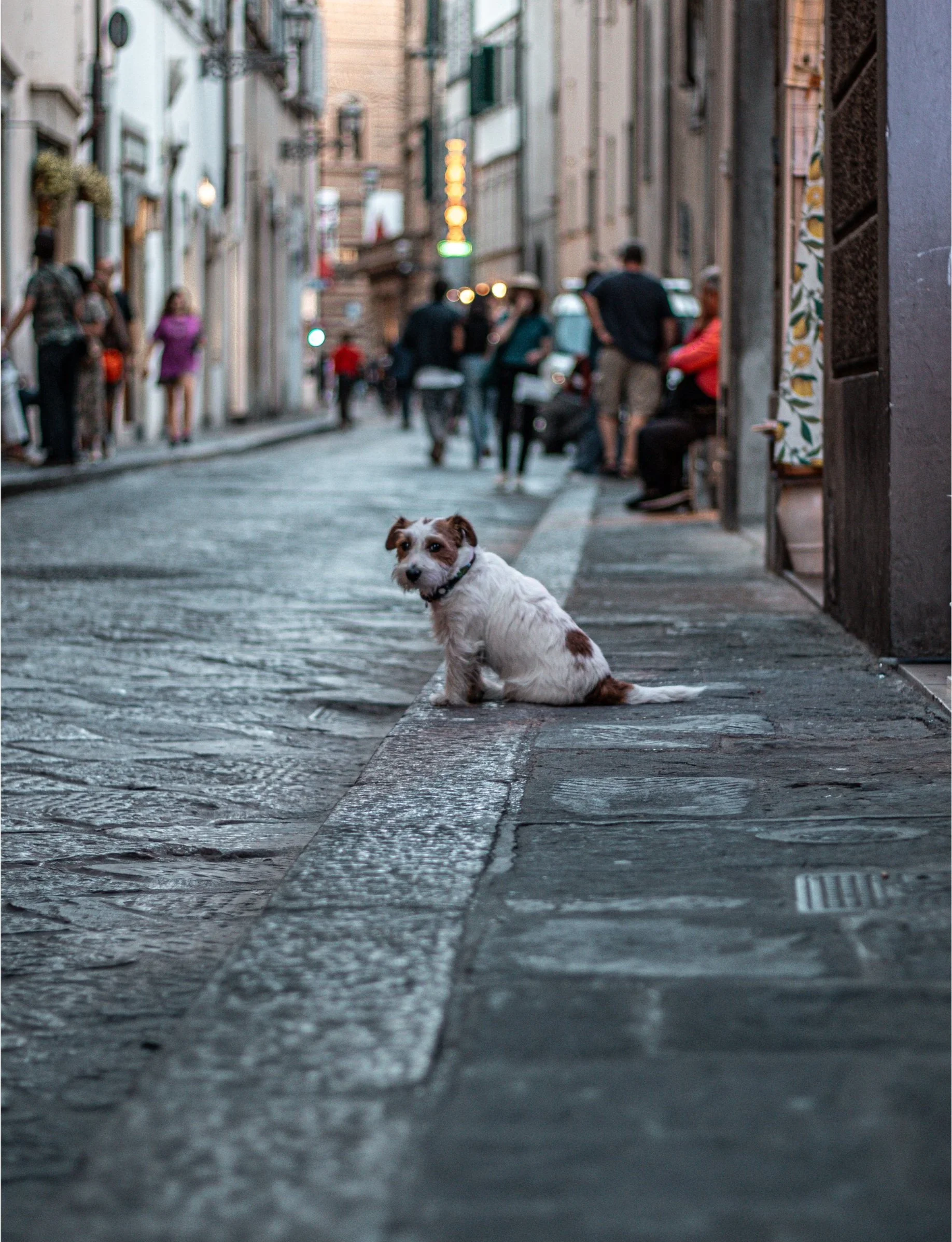 Florence_33.jpg
