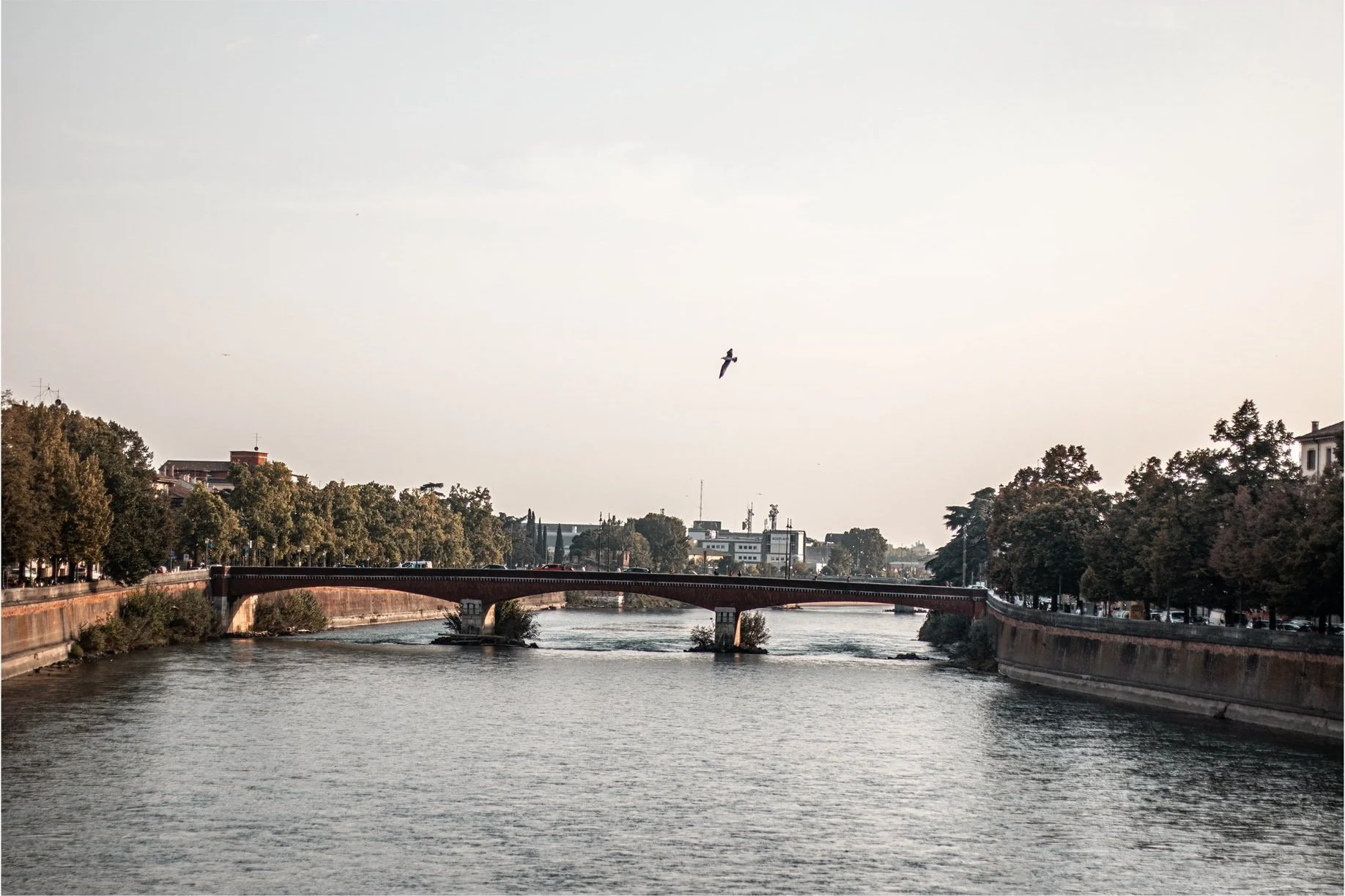 Verona_21.jpg