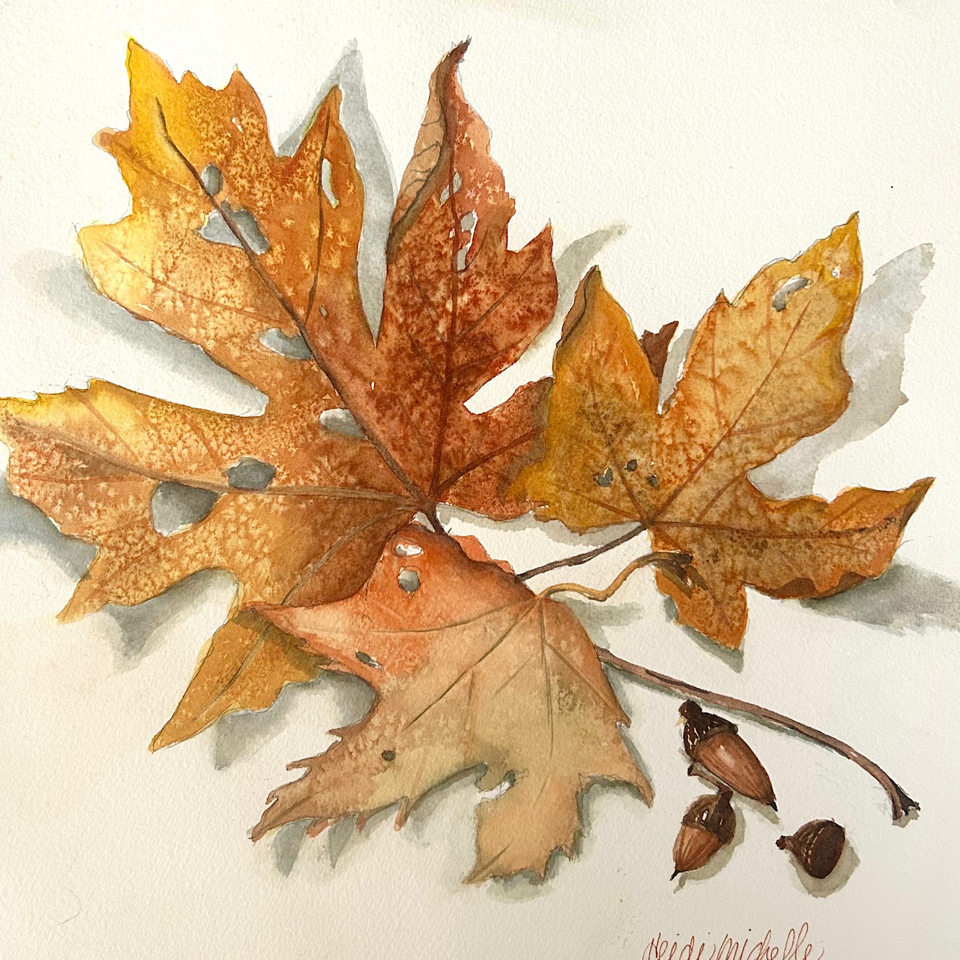 Heidi Woodmansee_Autumn 1.jpeg