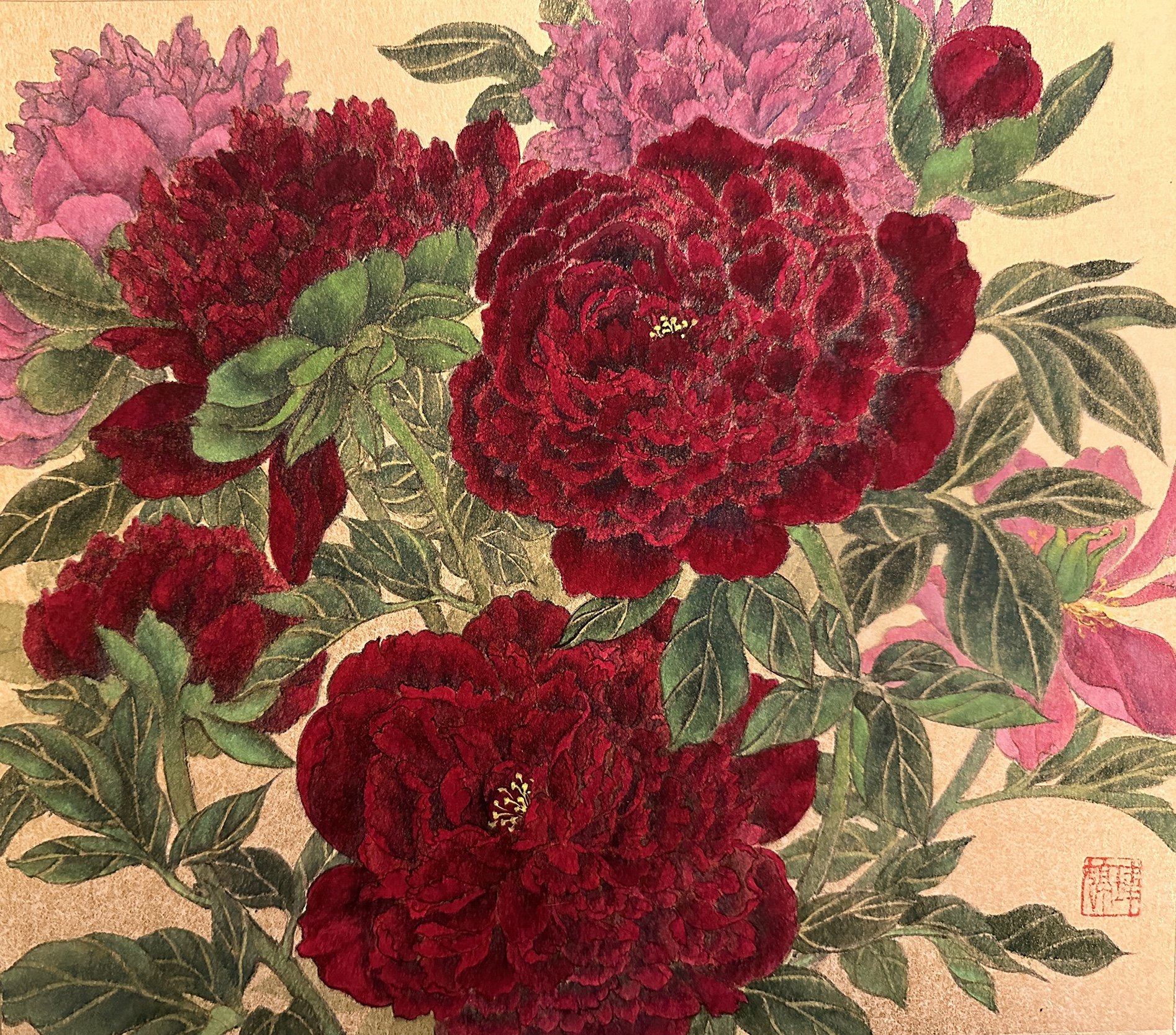 Spring Symphony of Peonies